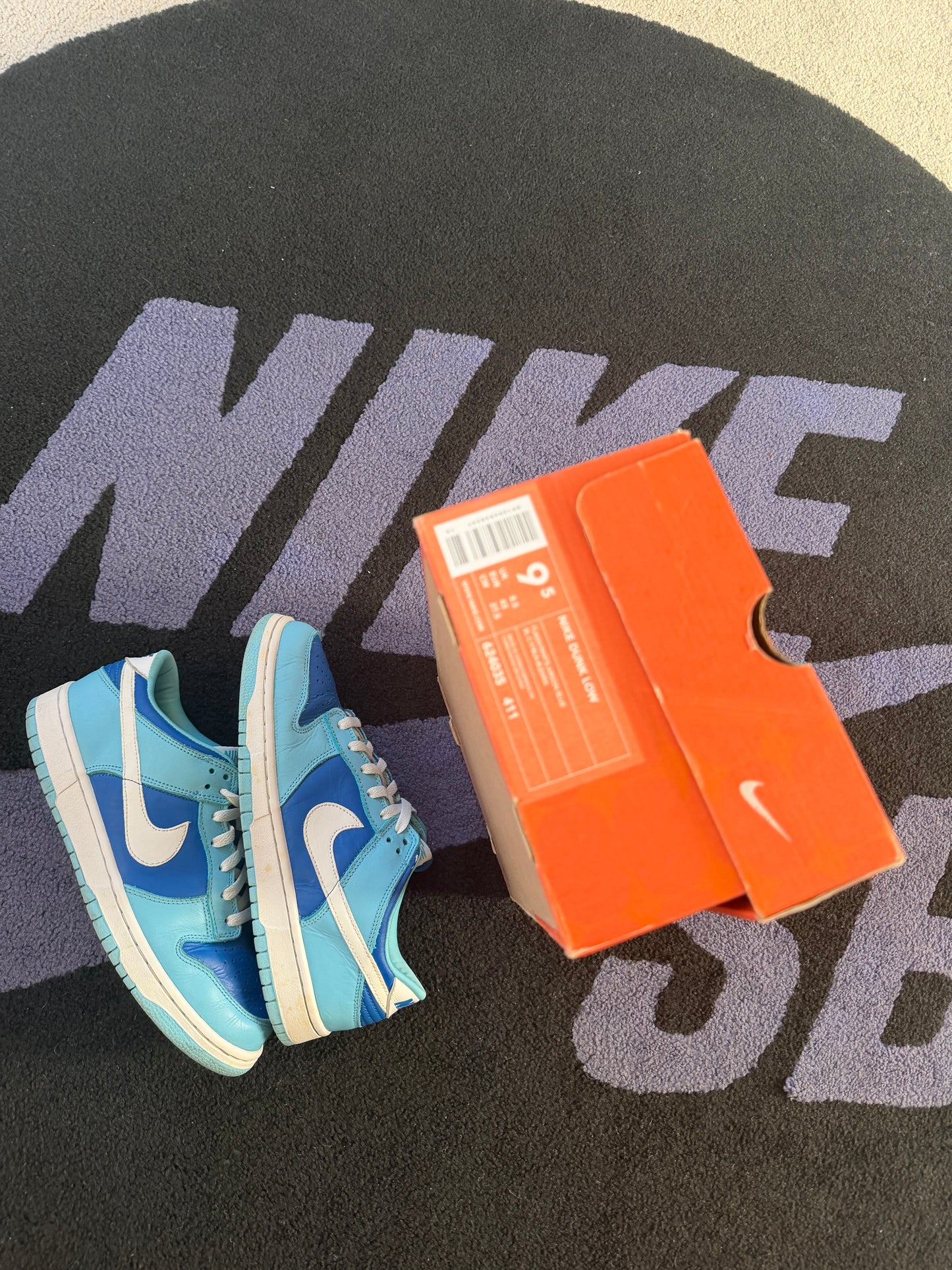 Size 9.5 - Nike Dunk Low Pro Argon