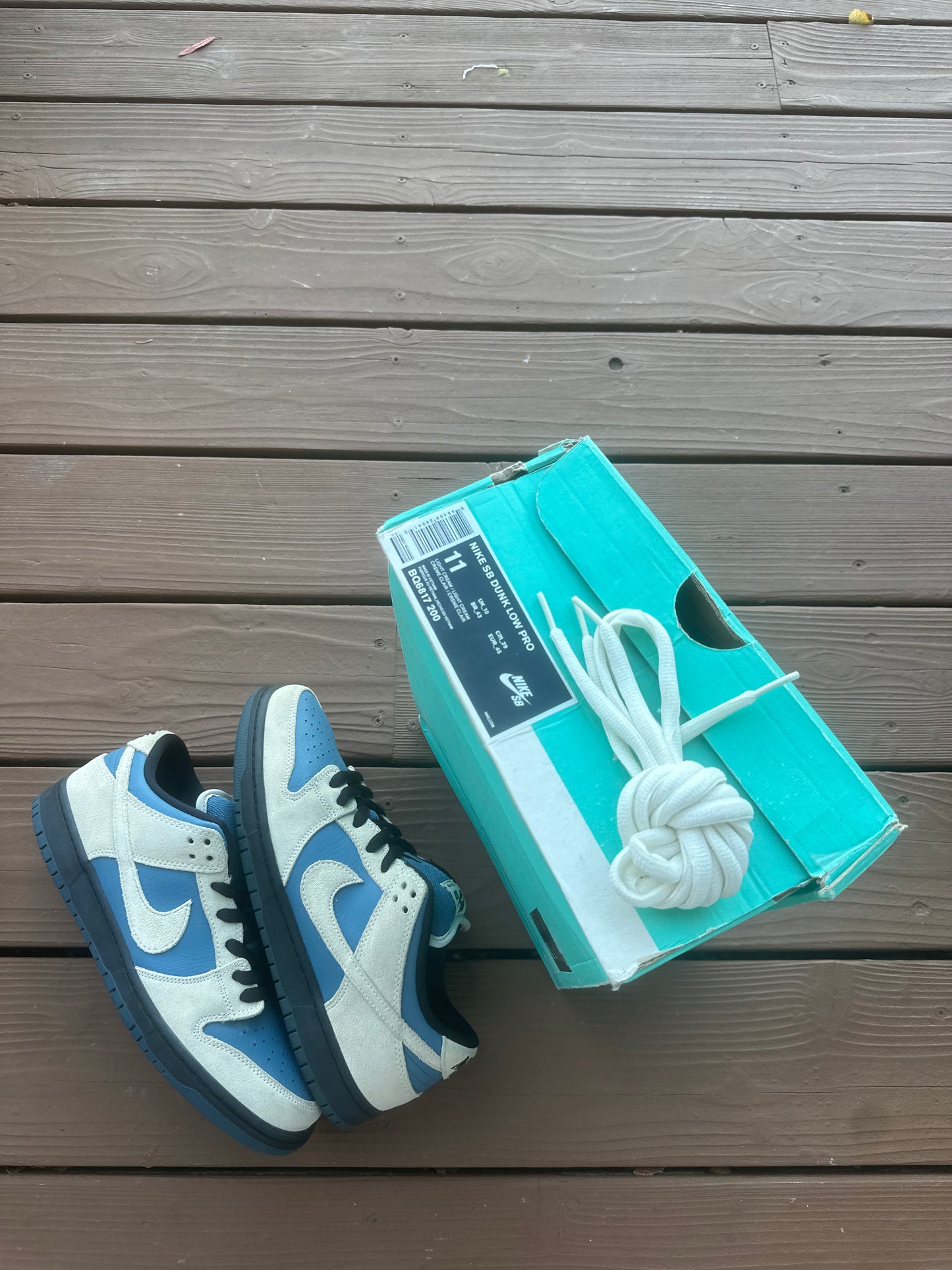 Size 11 - Nike Dunk Low Pro SB Thunderstorm