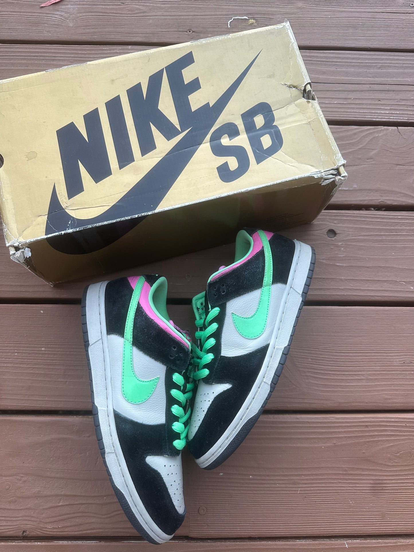 Size 10 - Nike Dunk Low Pro SB Poison