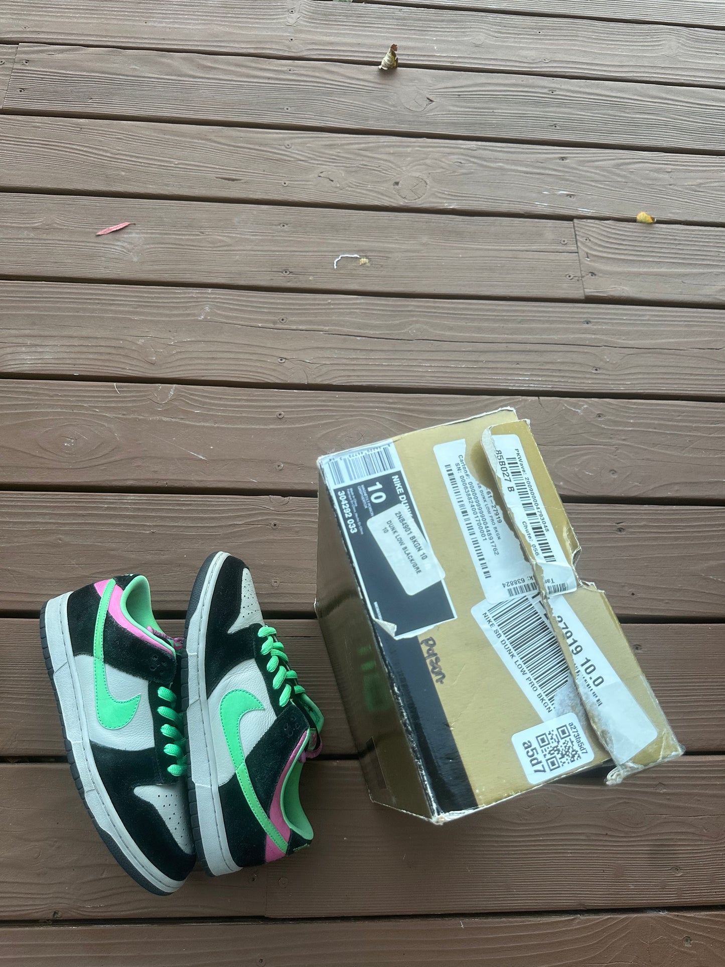 Size 10 - Nike Dunk Low Pro SB Poison