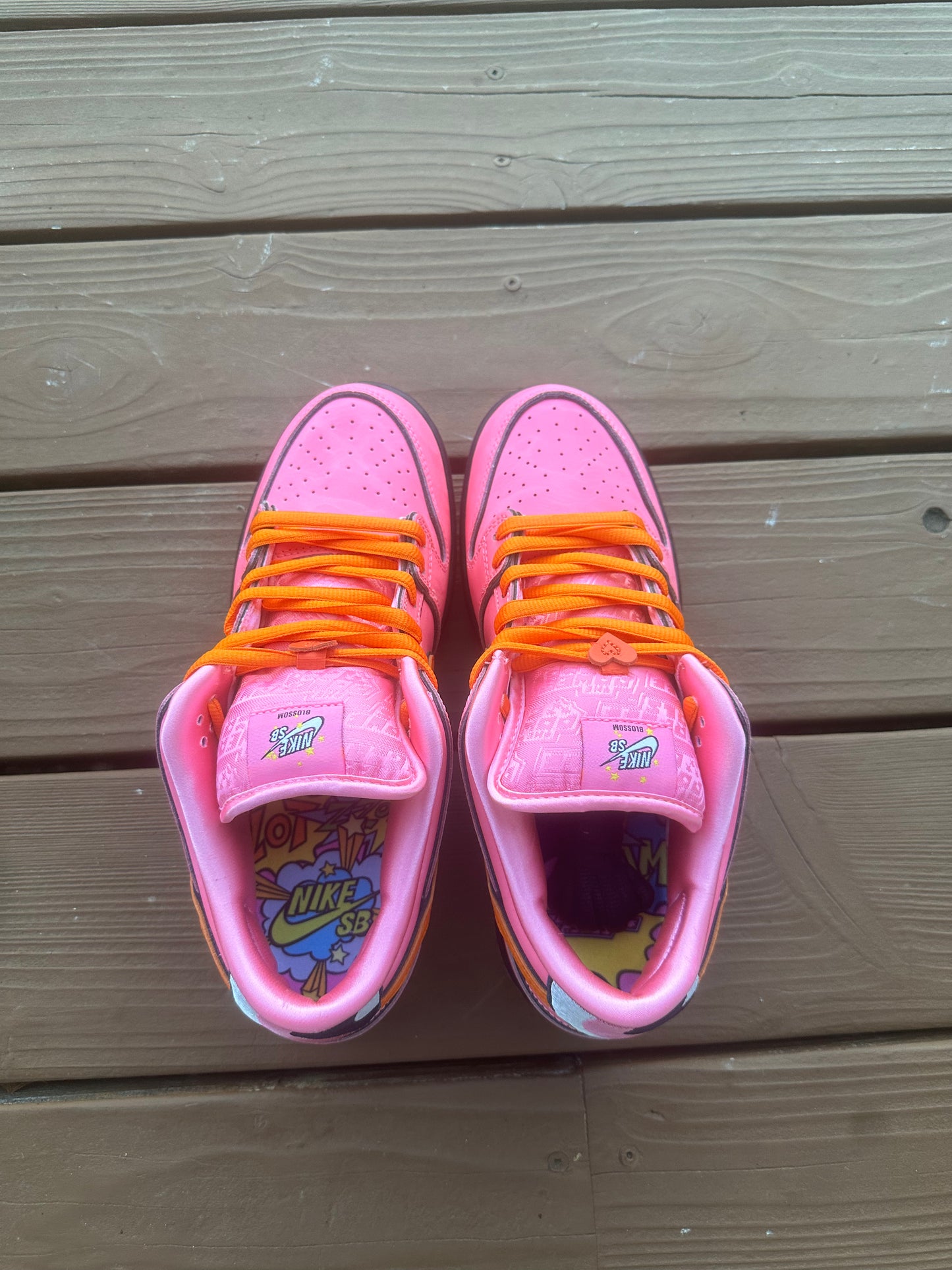 Size 9.5 - The Powerpuff Girls x Dunk Low Pro SB QS 'Blossom'