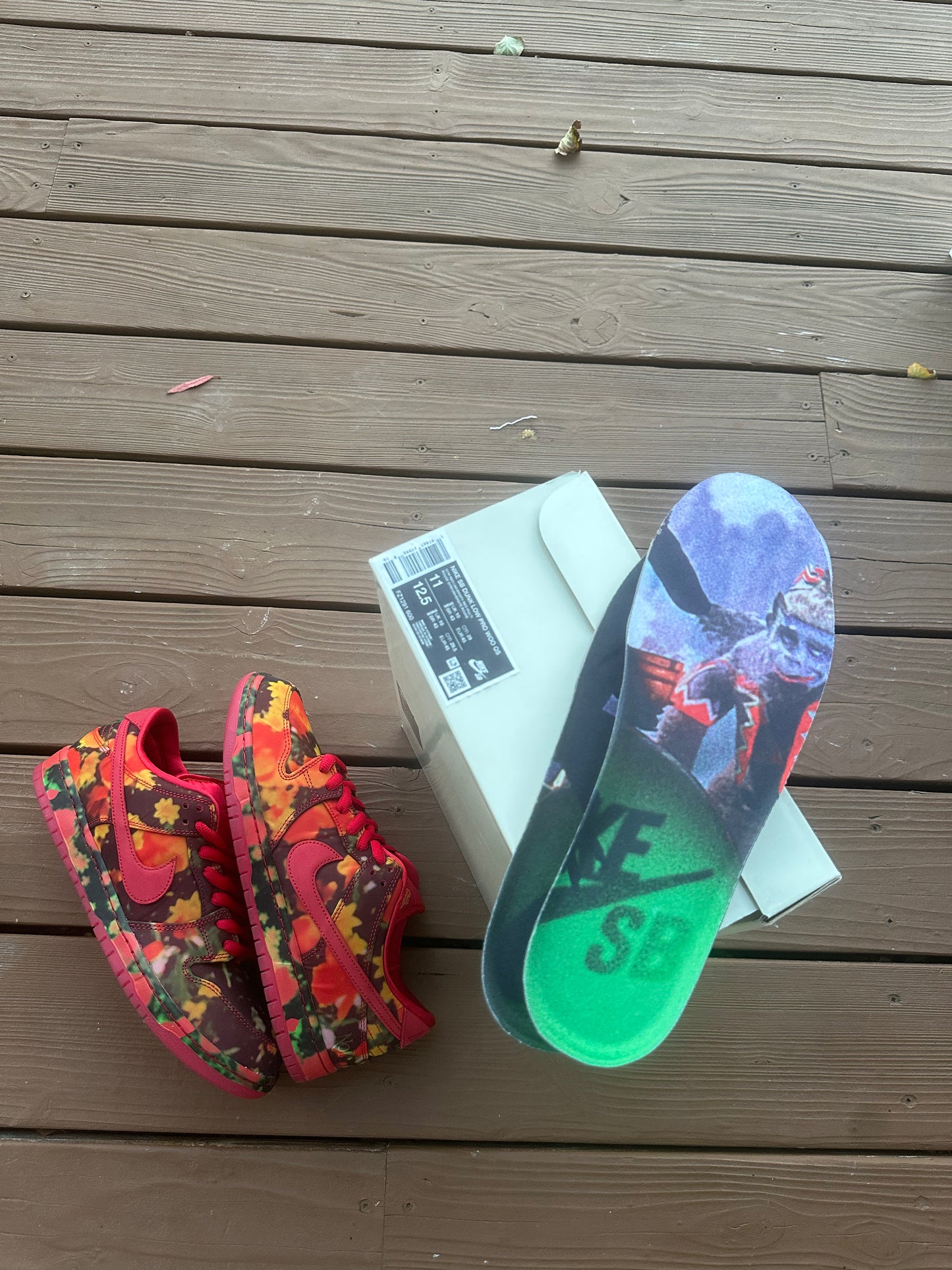 Size 11 - The Wizard of Oz x Dunk Low SB 'Poppy Field'
