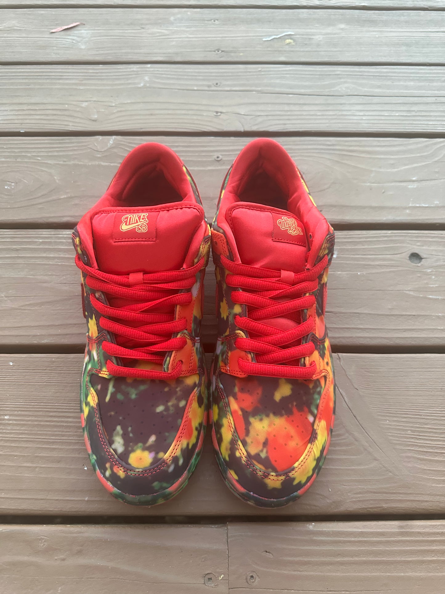 Size 11 - The Wizard of Oz x Dunk Low SB 'Poppy Field'