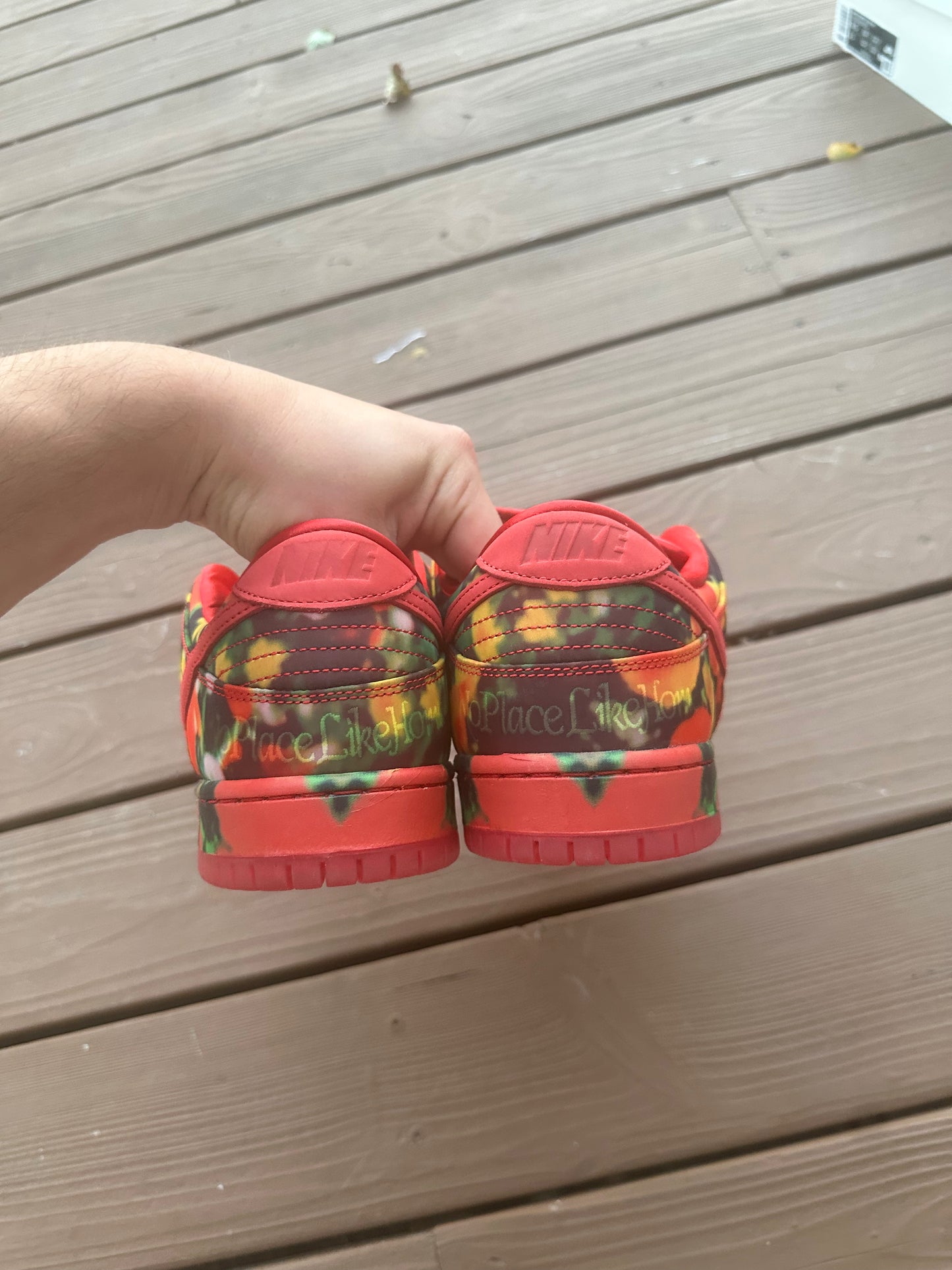 Size 11 - The Wizard of Oz x Dunk Low SB 'Poppy Field'