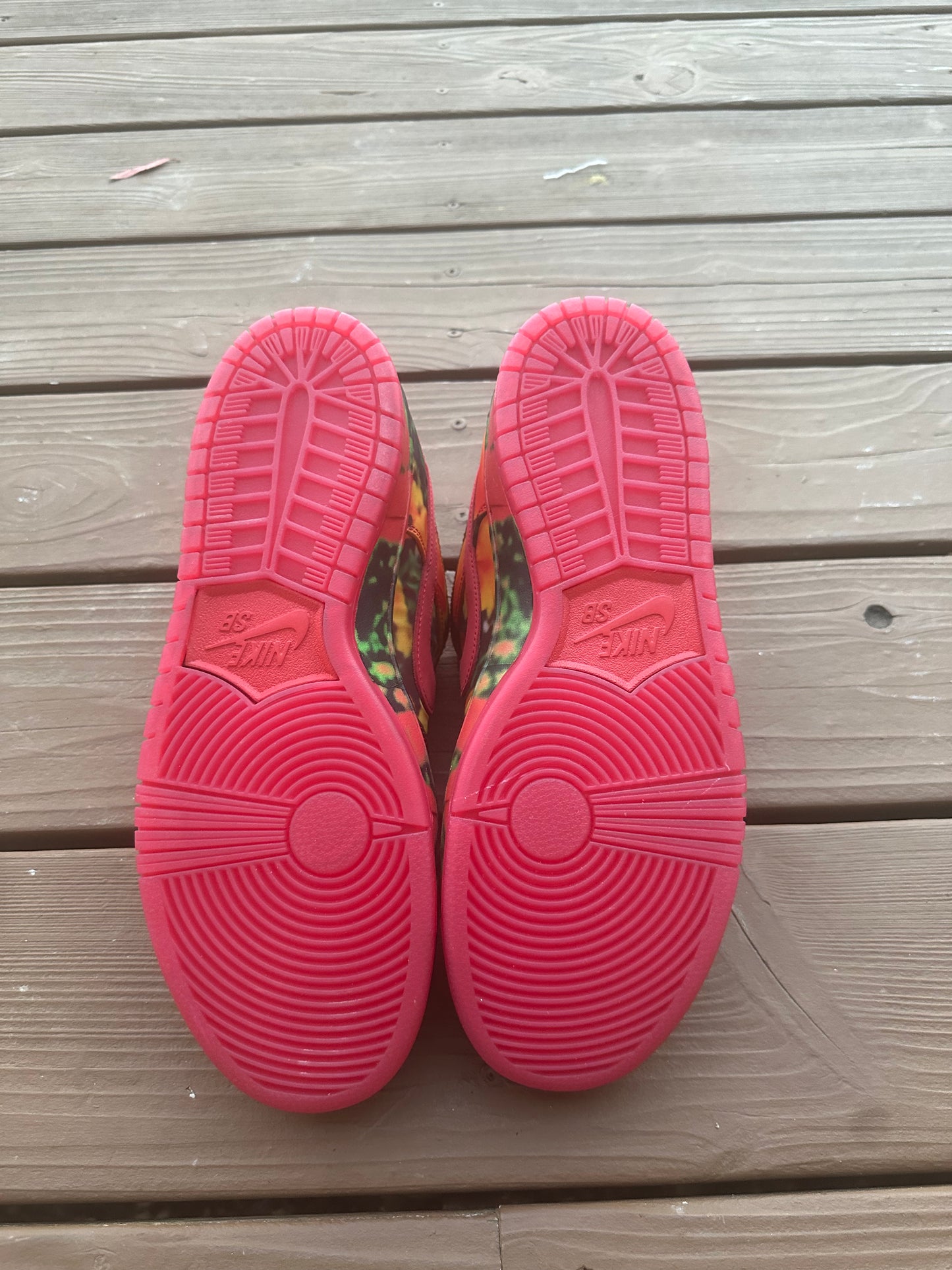 Size 11 - The Wizard of Oz x Dunk Low SB 'Poppy Field'