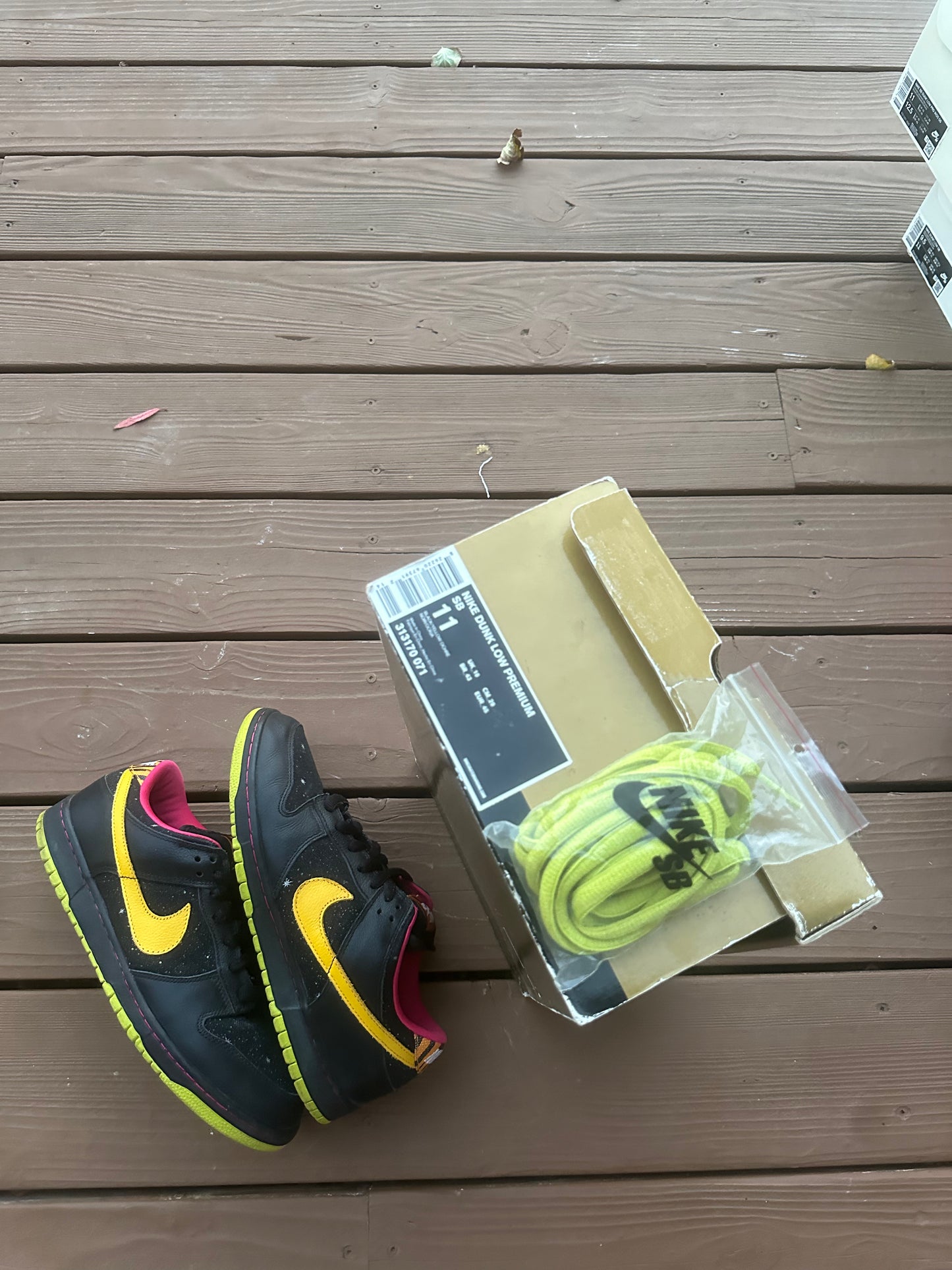 Size 11 - Nike Dunk Low Premium SB Space Tiger