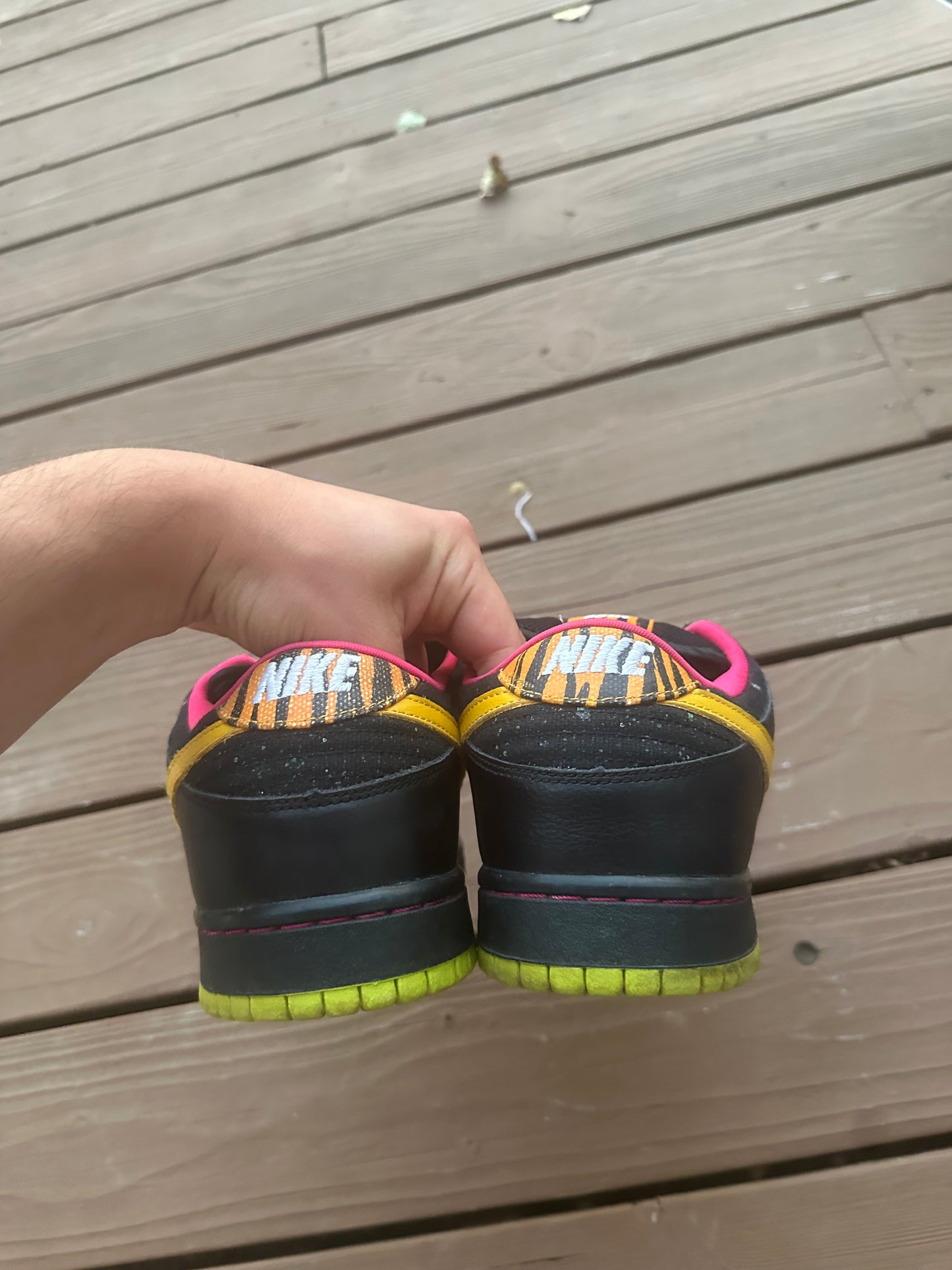 Size 11 - Nike Dunk Low Premium SB Space Tiger