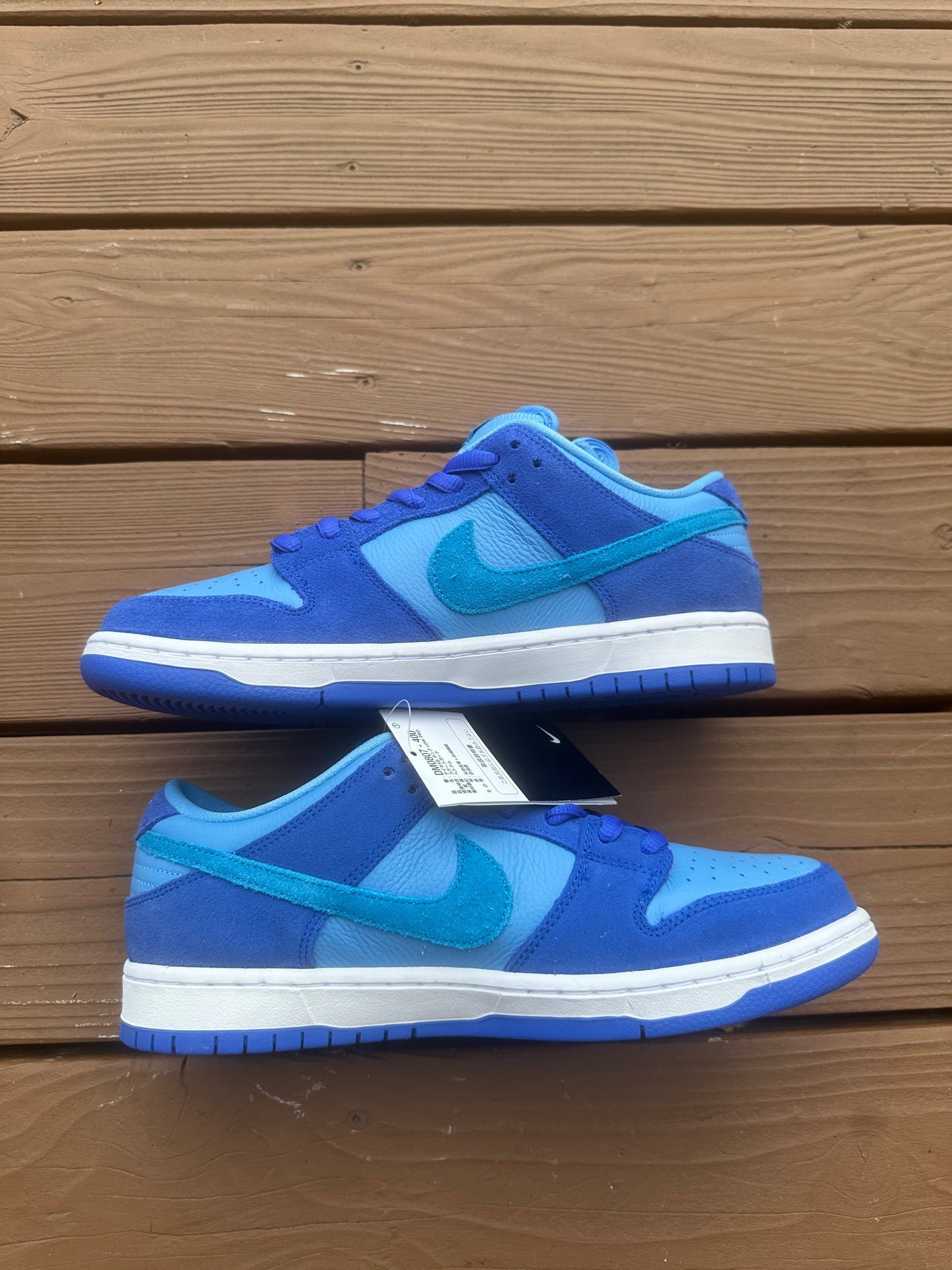 Size 9.5 - Nike SB Dunk Low Pro Blue Raspberry