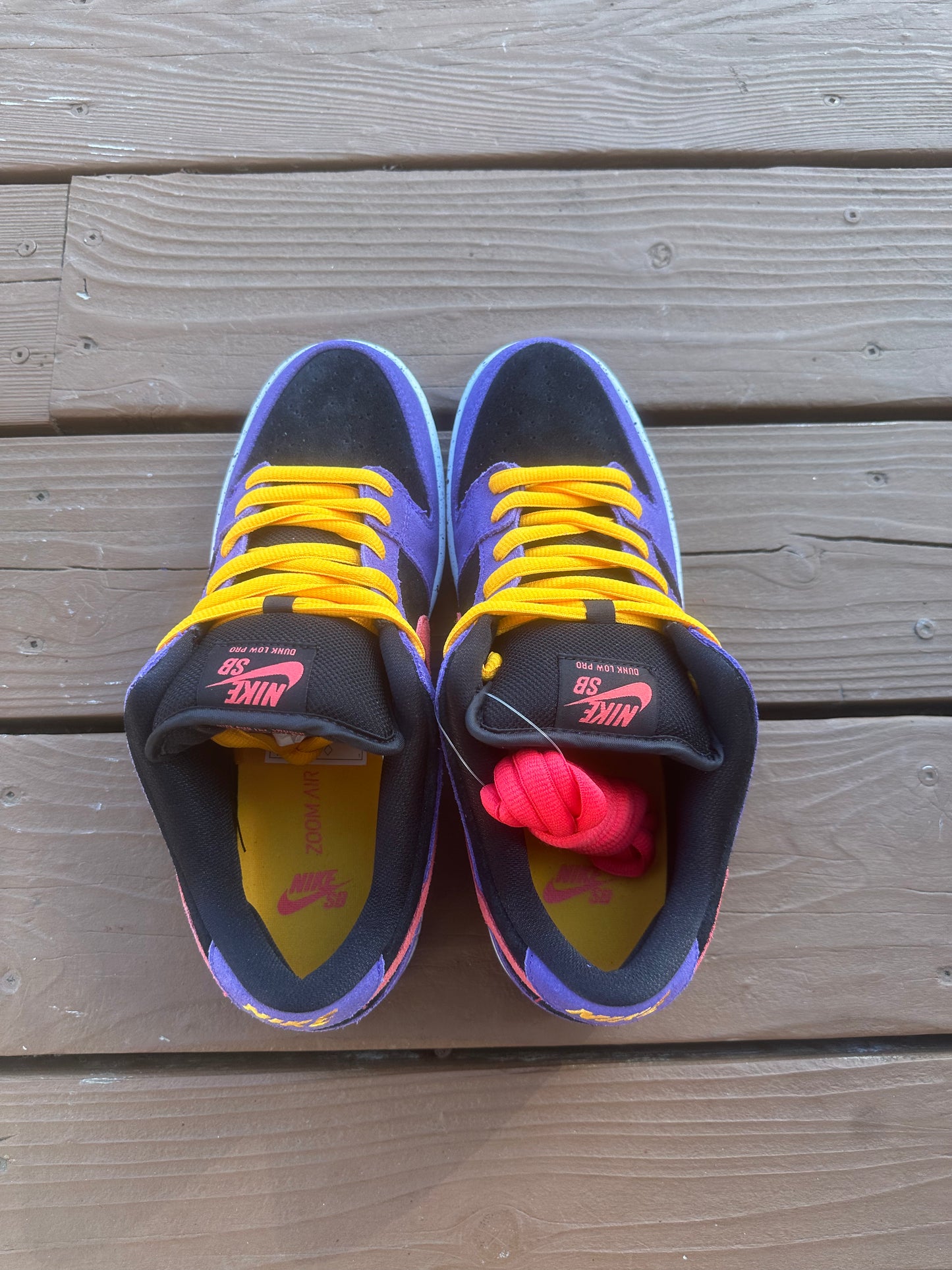 Size 9.5 - Nike Dunk Low Pro SB ACG Terra
