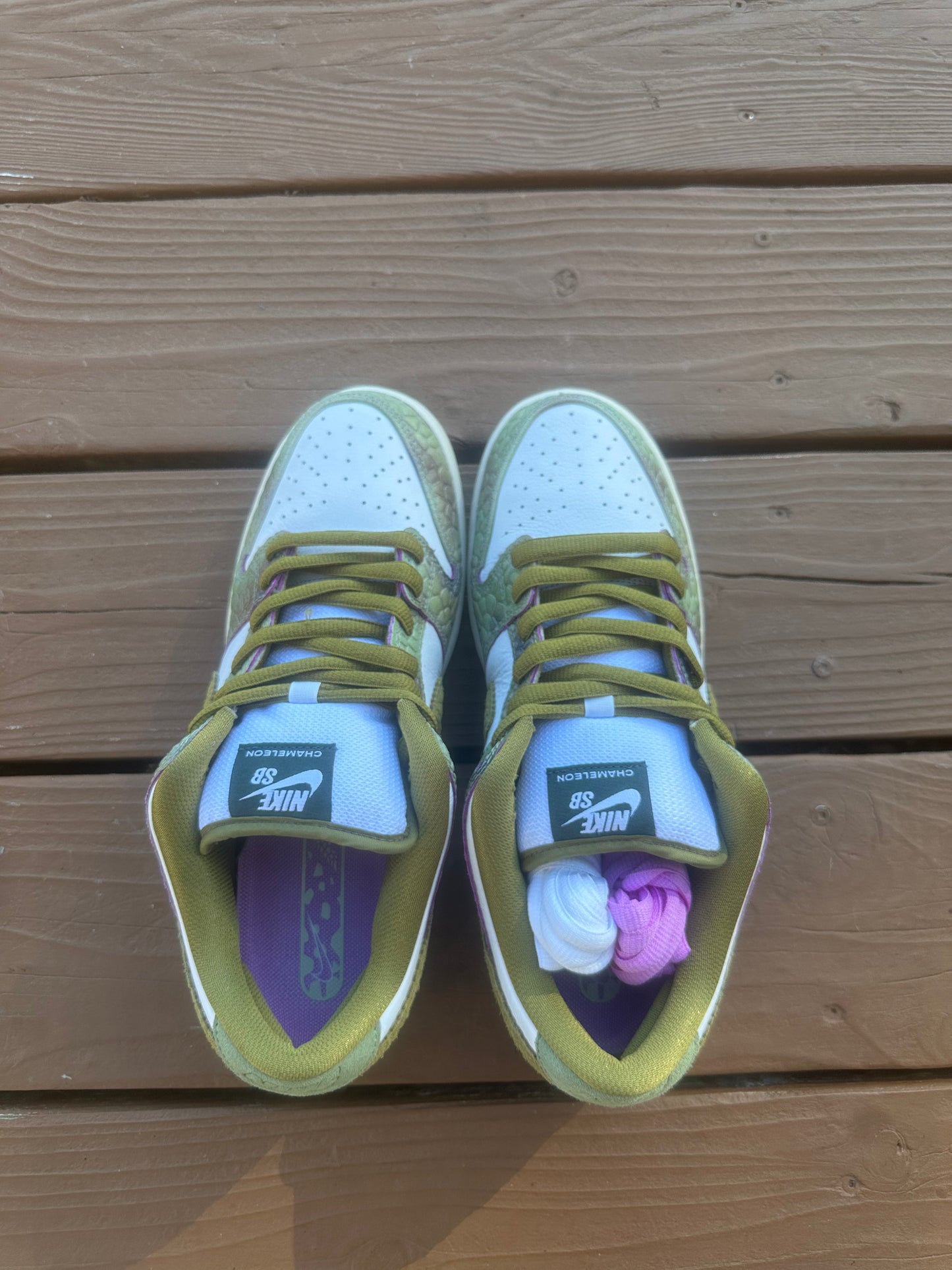 Size 9.5 - Nike Dunk Low Pro SB QS Alexis Sablone Chameleon