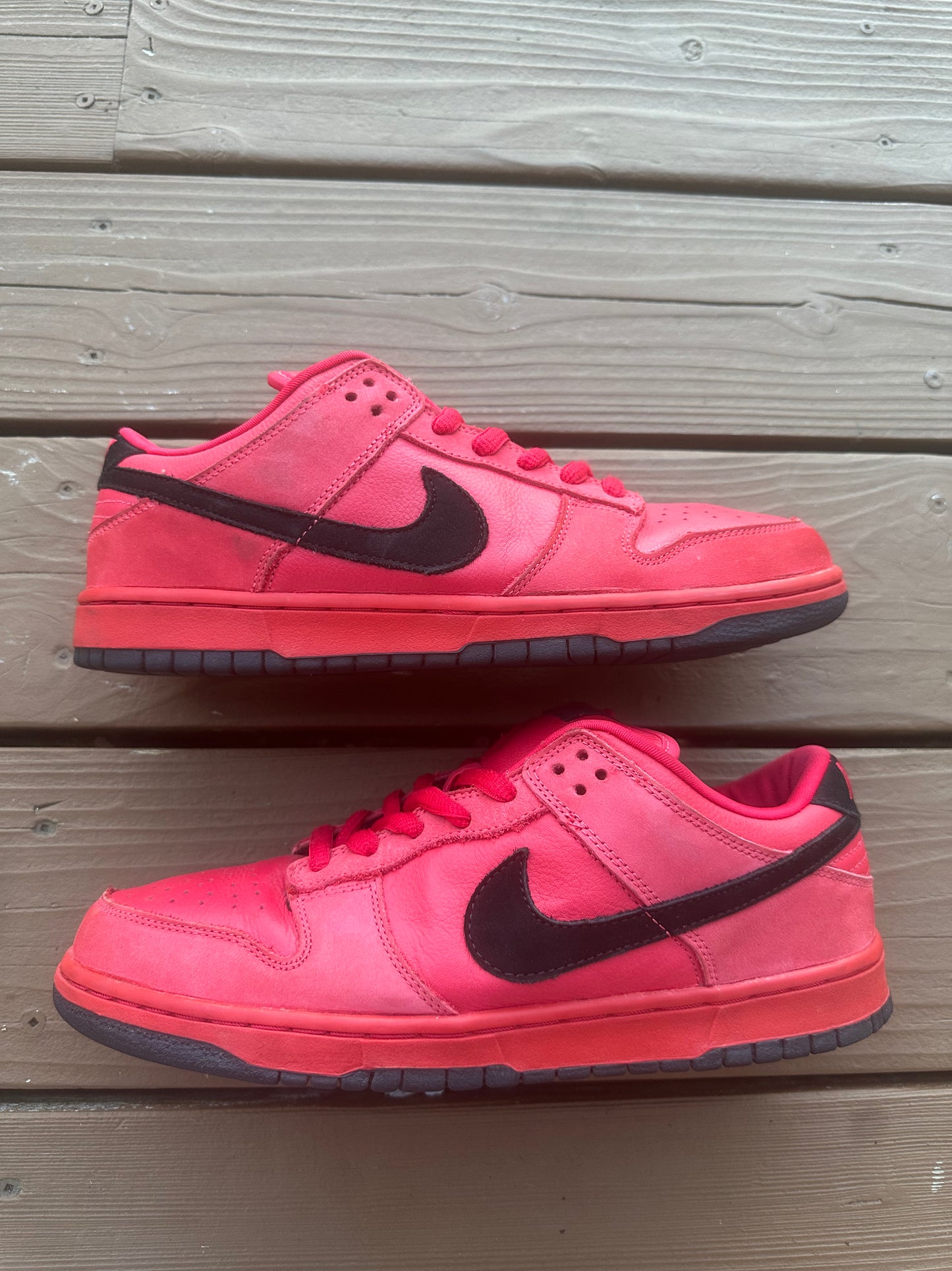 Size 10.5 - Nike Dunk Low Pro SB Pure Blood