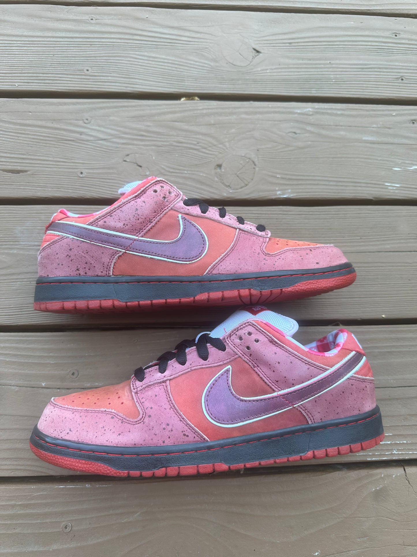 Size 11 - Concepts x Nike SB Dunk Low Premium Red Lobster