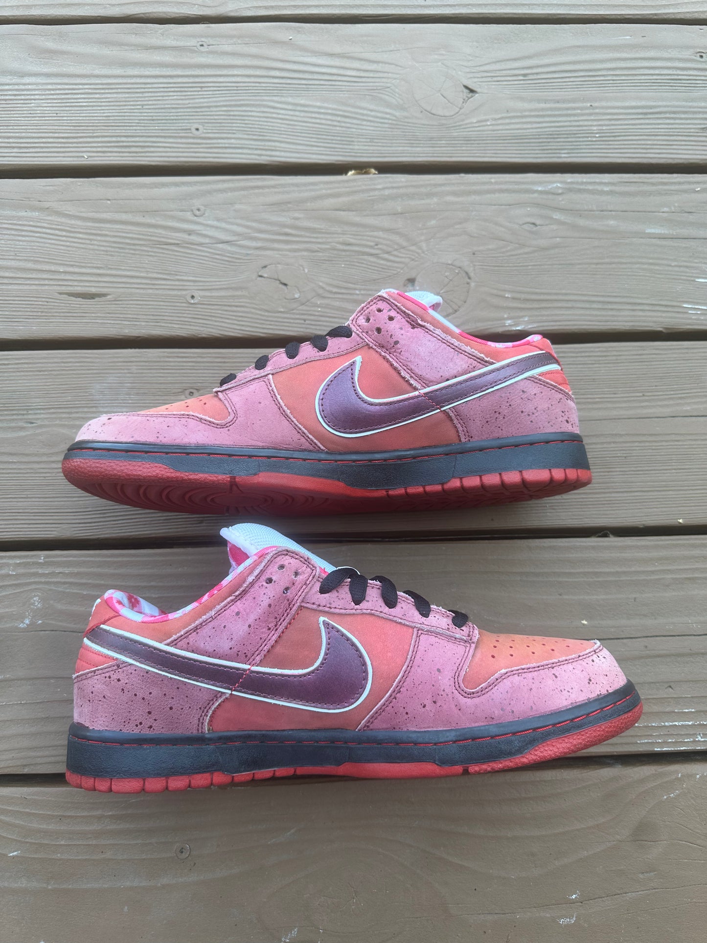 Size 11 - Concepts x Nike SB Dunk Low Premium Red Lobster