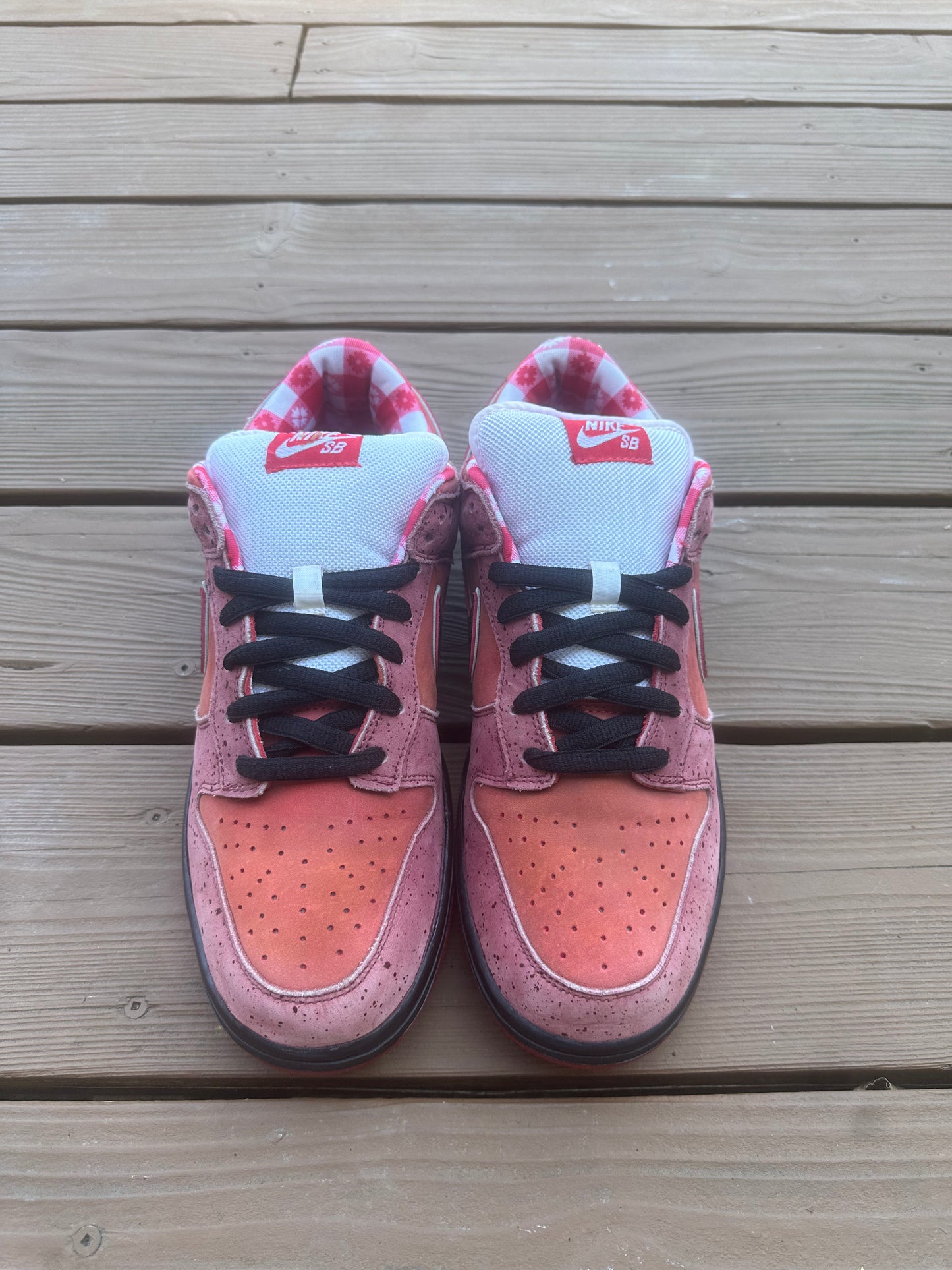 Size 11 - Concepts x Nike SB Dunk Low Premium Red Lobster