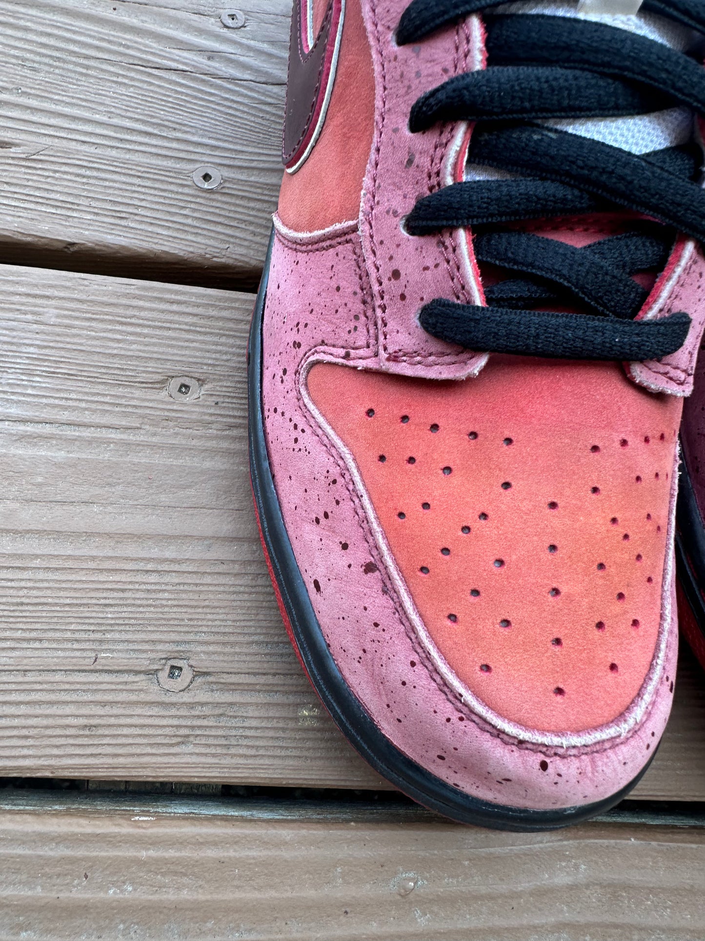 Size 11 - Concepts x Nike SB Dunk Low Premium Red Lobster