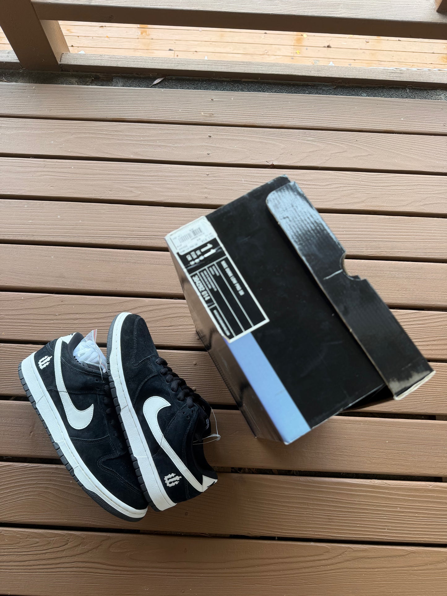 Size 11 - Nike Dunk Low Pro SB Wieger