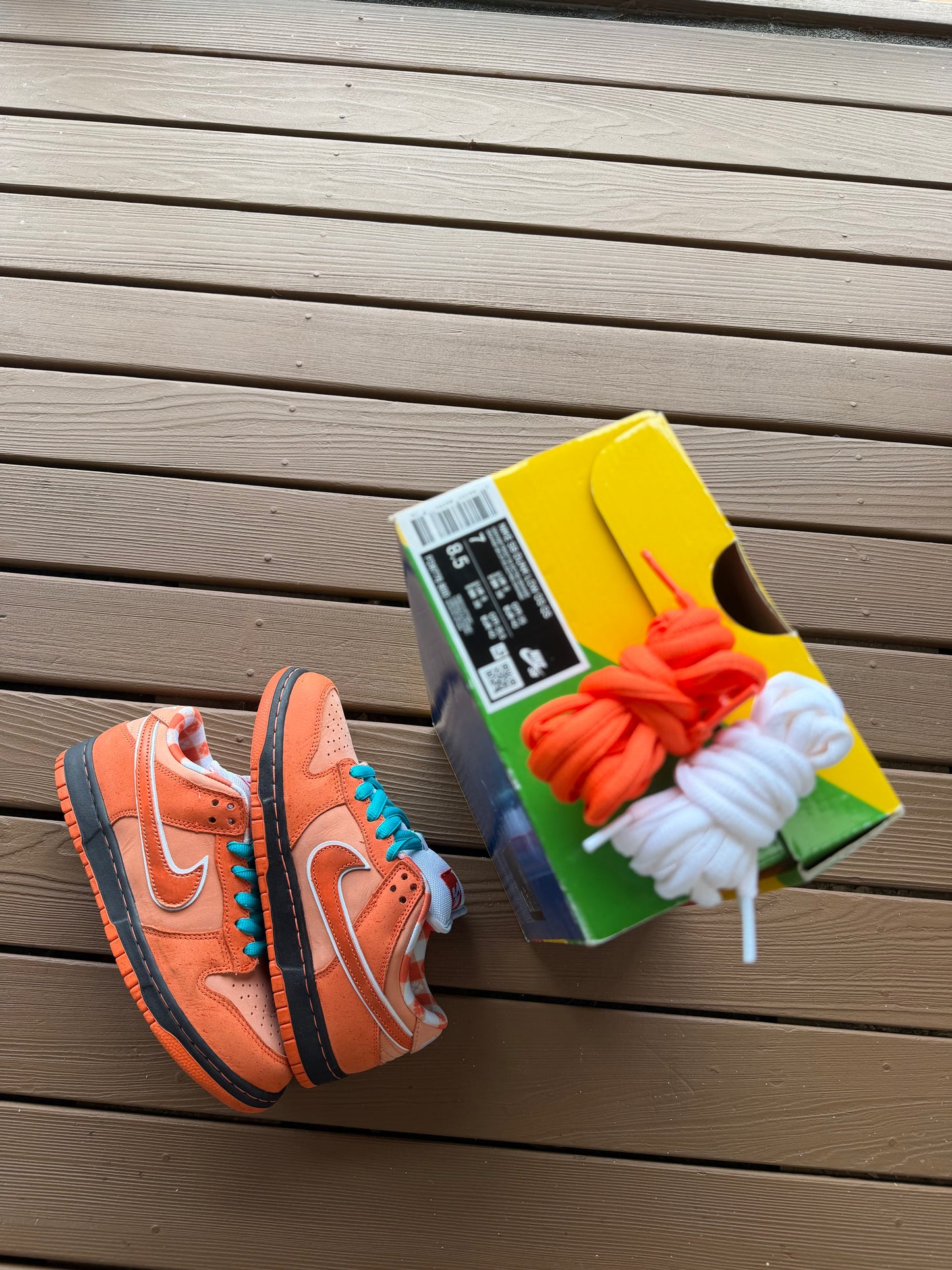 Size 7 - Concepts x Nike SB Dunk Low QS Orange Lobster