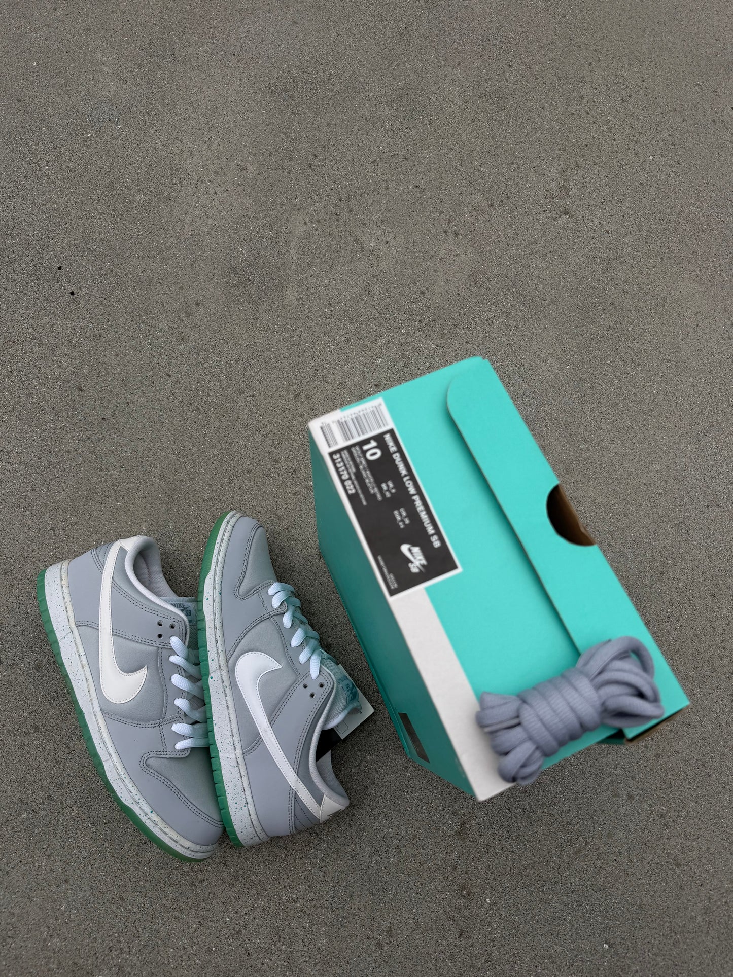 Size 10 - Nike Dunk Low Premium SB Marty McFly