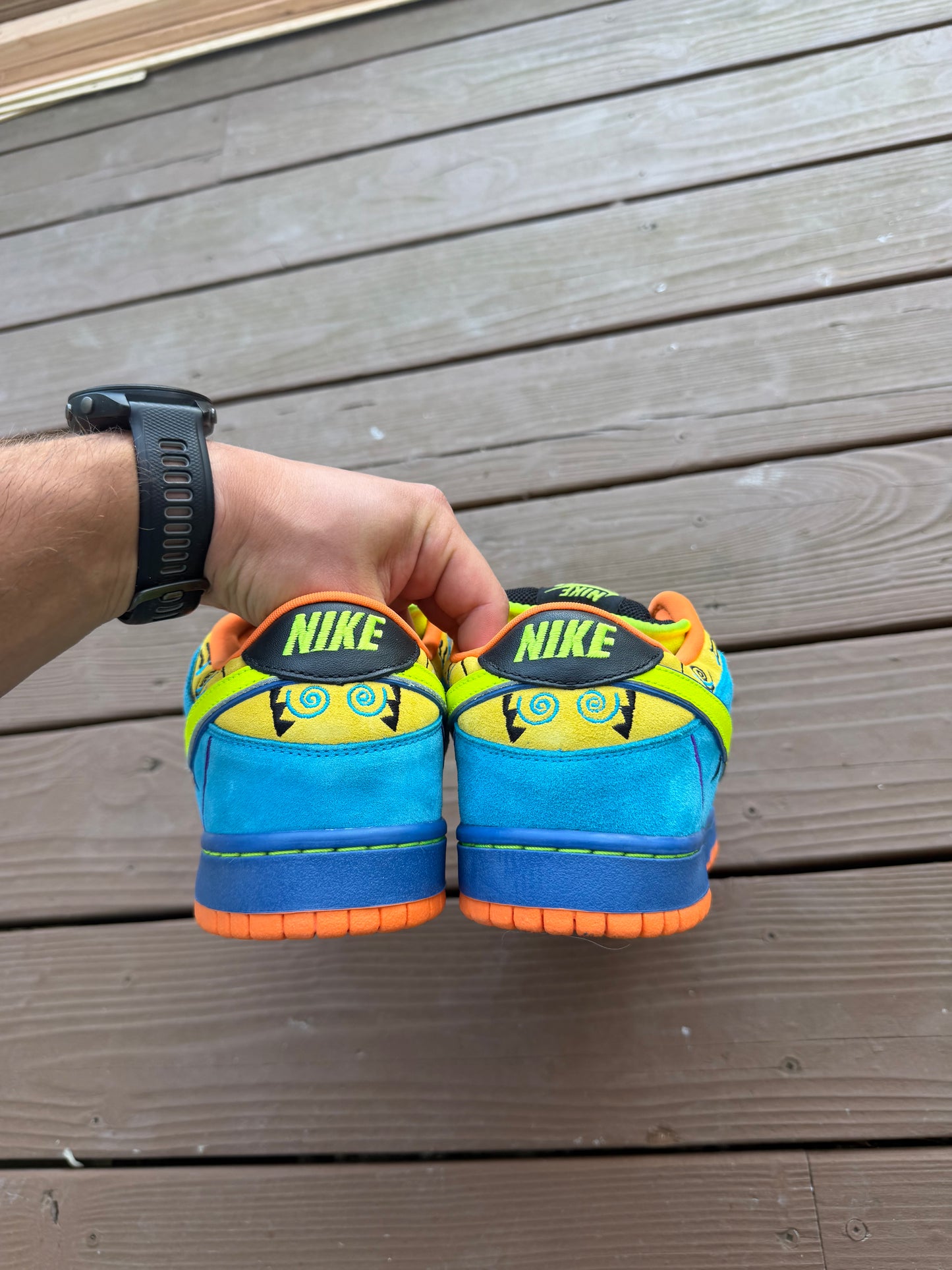 Size 11 - Nike Dunk Low Pro SB Skate or Die