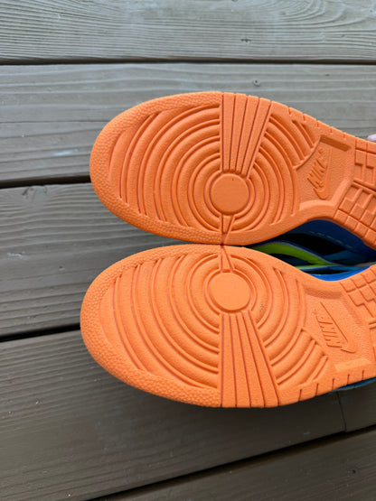Size 11 - Nike Dunk Low Pro SB Skate or Die