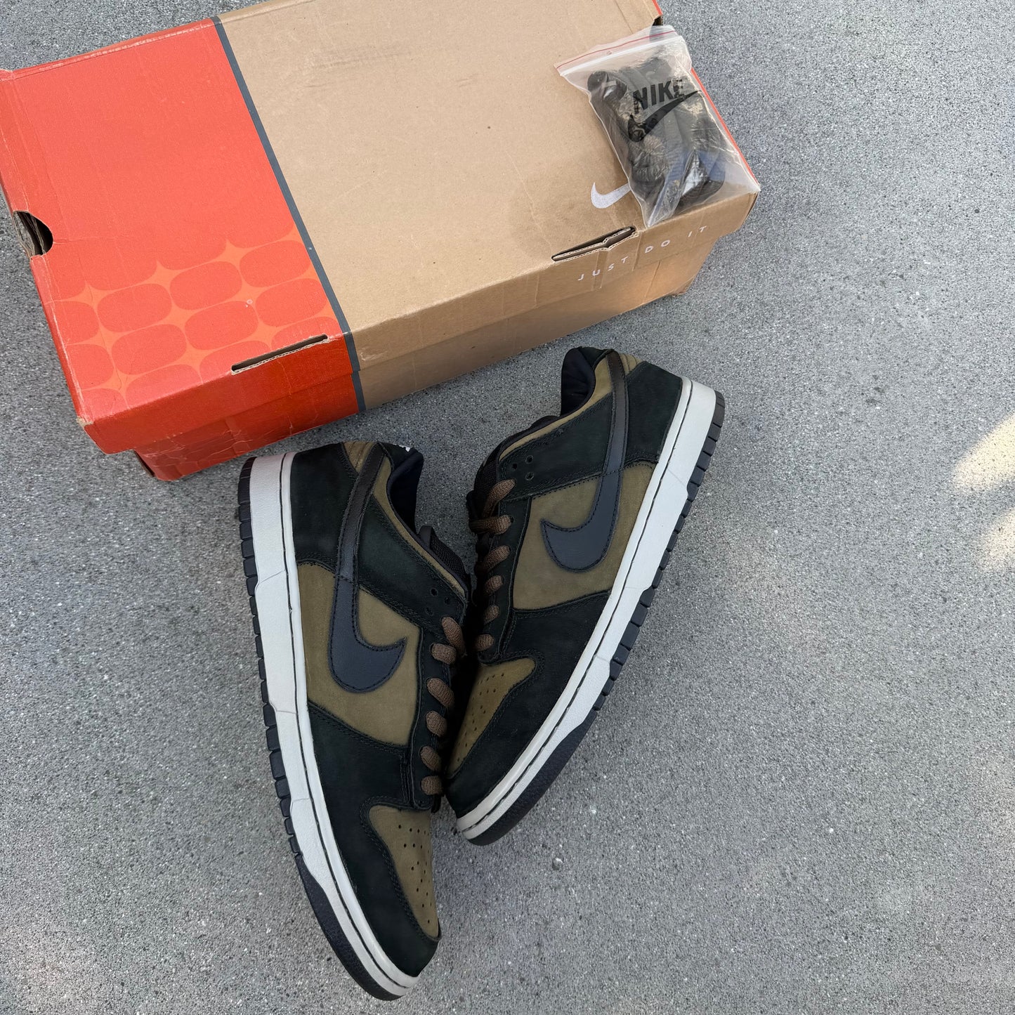 Size 10.5 - Nike Dunk Low Pro SB Loden