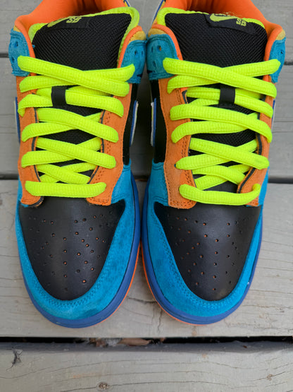 Size 10 - Nike Dunk Low Pro SB Skate or Die