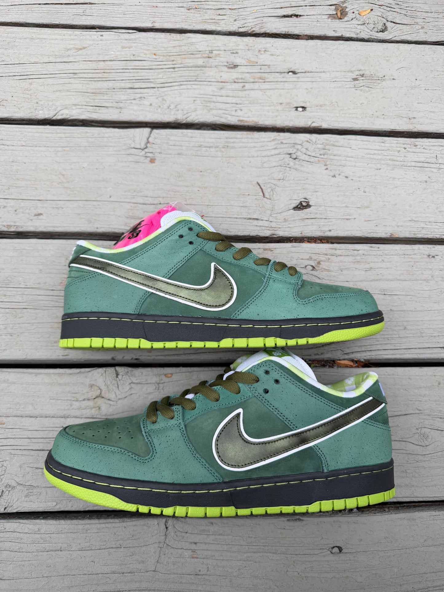 Size 12 - Concepts x Nike SB Dunk Low Premium Green Lobster Special Box
