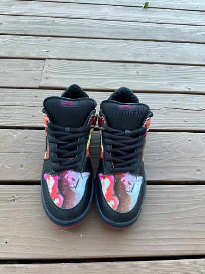 Size 11 - Nike Dunk Low Pro SB Pushead