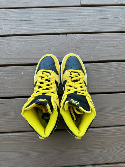 Size 13 - Nike Dunk High Pro SB BTTYS Iowa