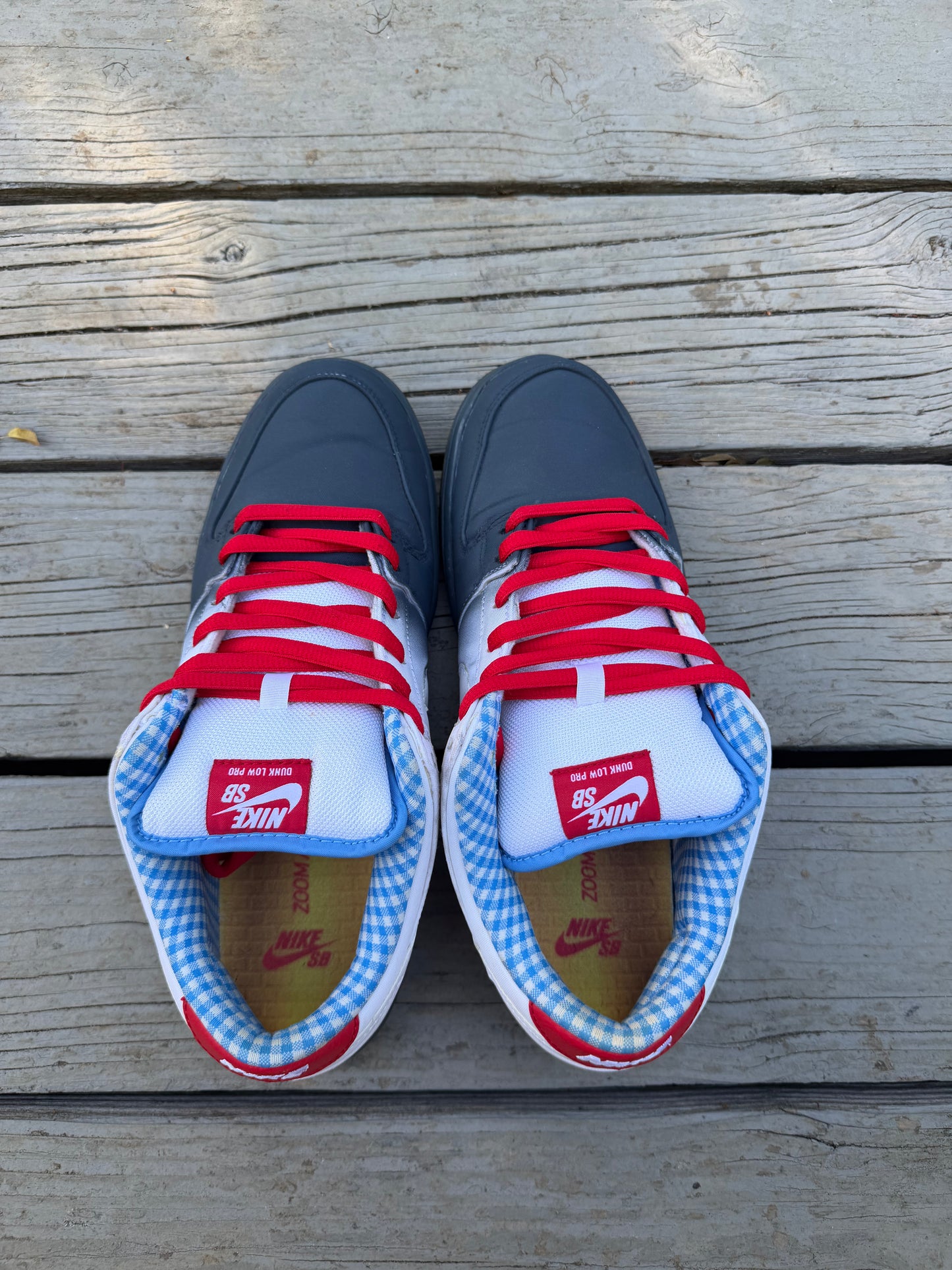 Size 11 - Nike Dunk Low Premium SB Dorothy