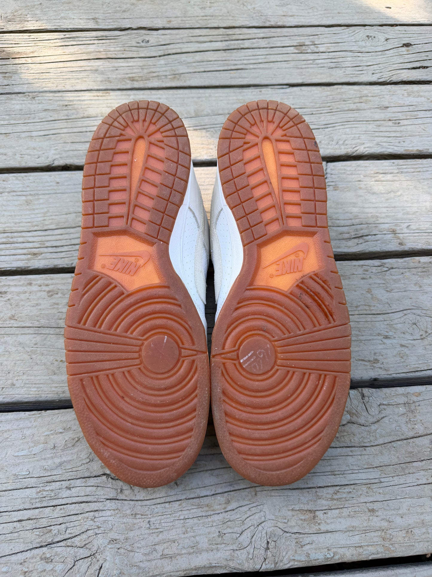 Size 13 - Nike Dunk Pro Low SB Gino 3