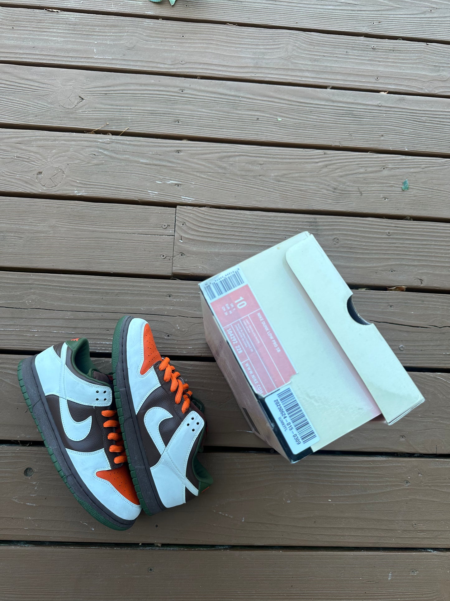 Size 10 - Nike Dunk Low Pro SB Oompa Loompa