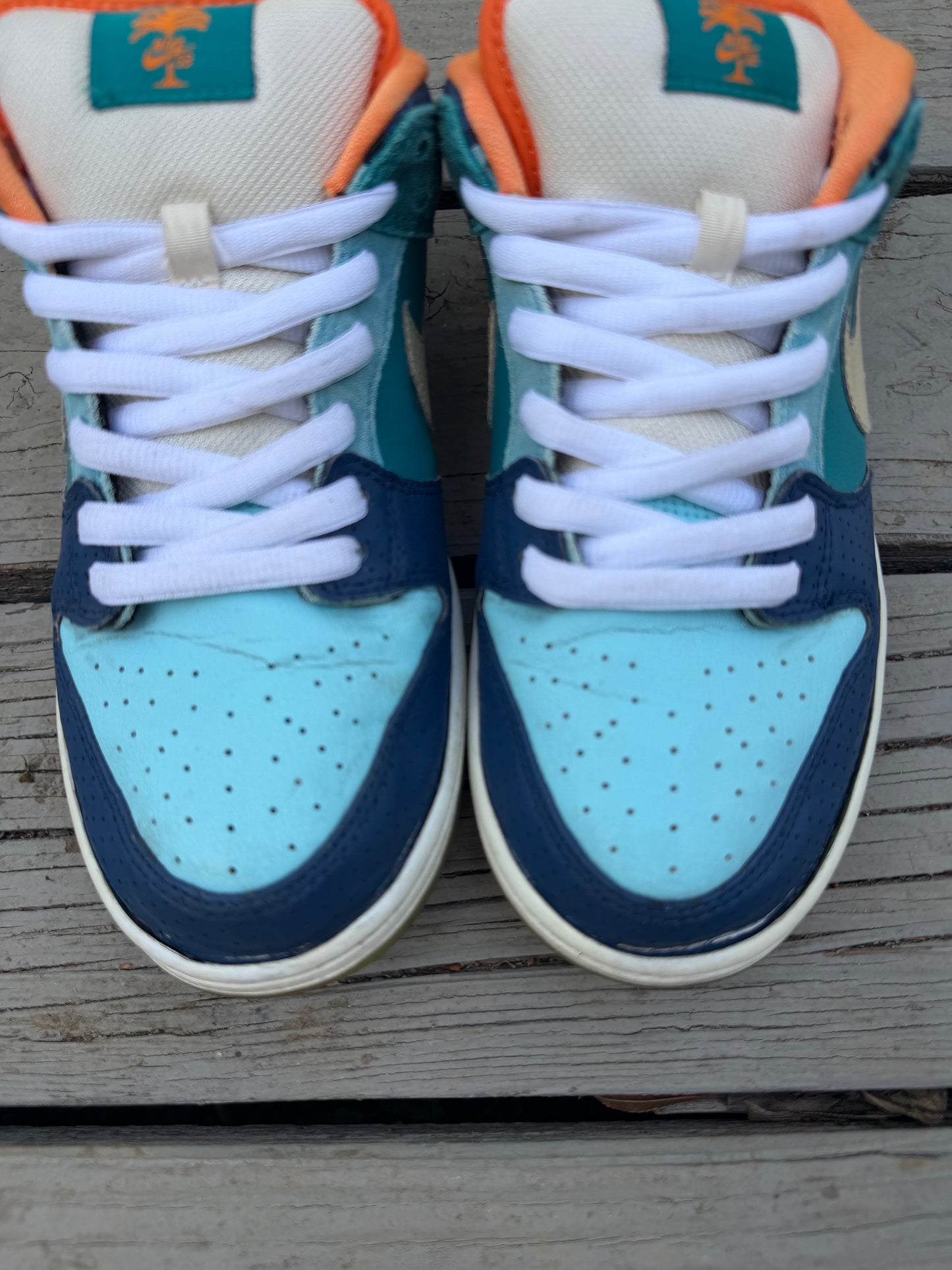 Size 9.5 - Nike Dunk Low Premium SB MIA