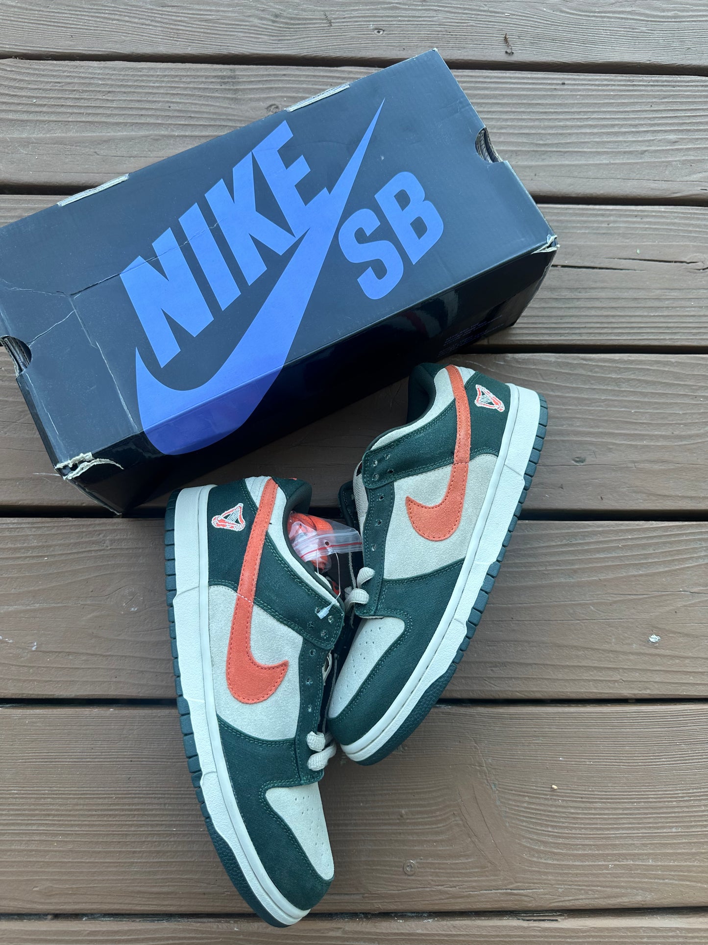 Size 9.5 - Nike Dunk Low Pro SB Eire