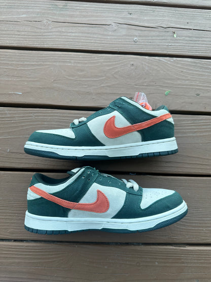 Size 9.5 - Nike Dunk Low Pro SB Eire