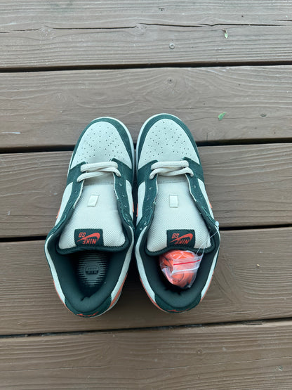 Size 9.5 - Nike Dunk Low Pro SB Eire