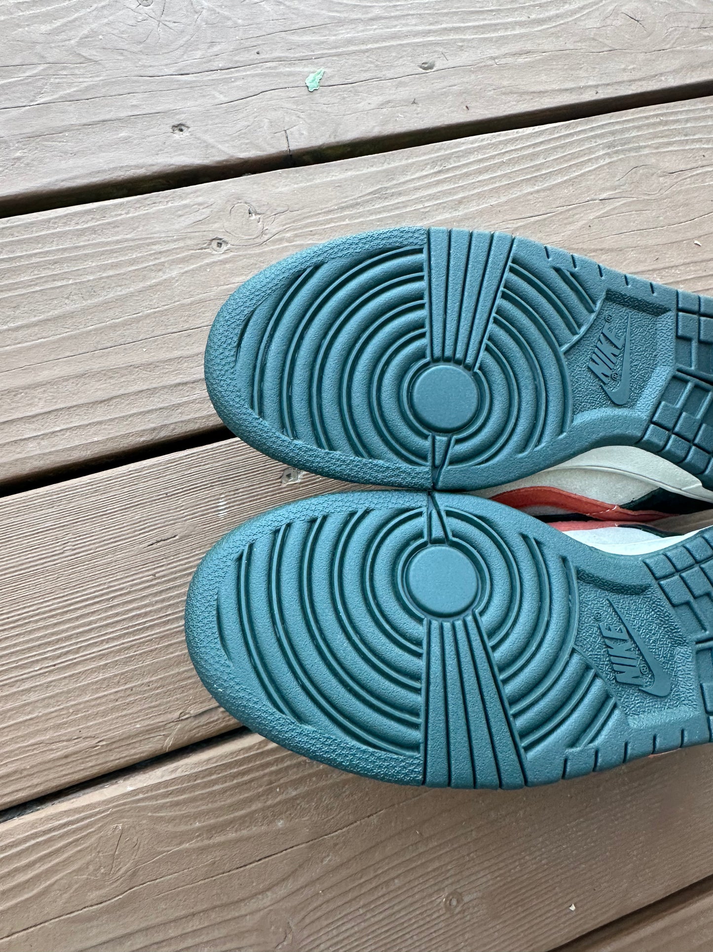 Size 9.5 - Nike Dunk Low Pro SB Eire