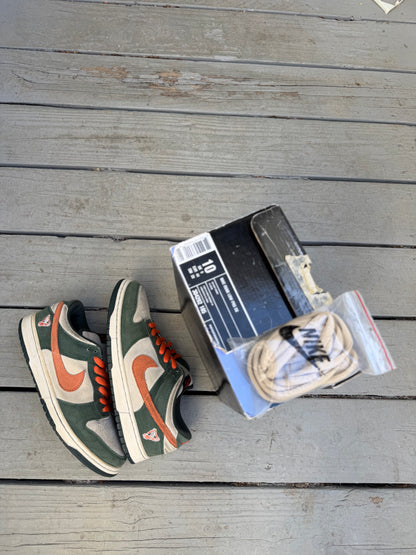 Size 10 - Nike Dunk Low Pro SB Eire