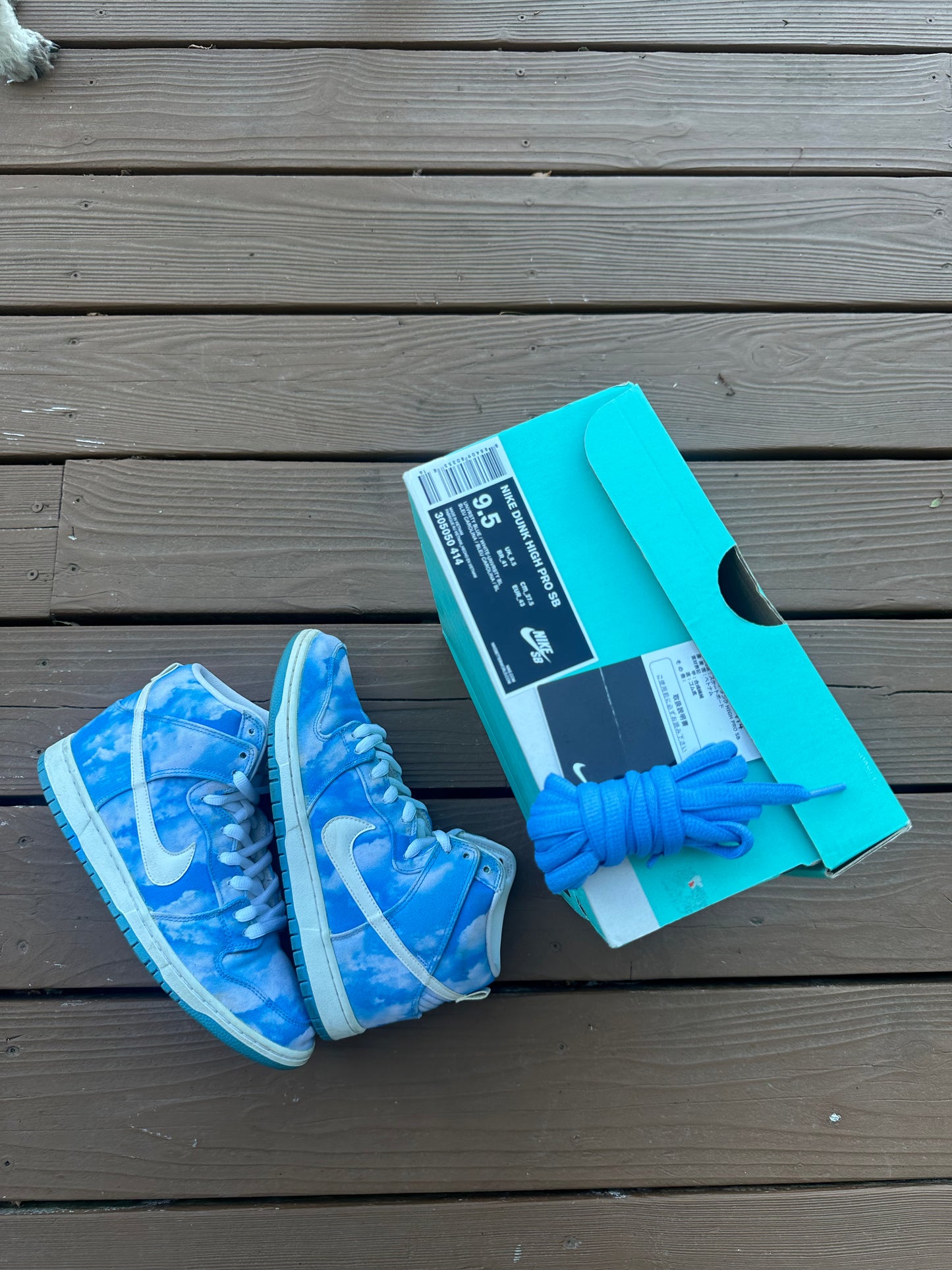 Size 9.5 - Nike Dunk High Pro SB Cloud
