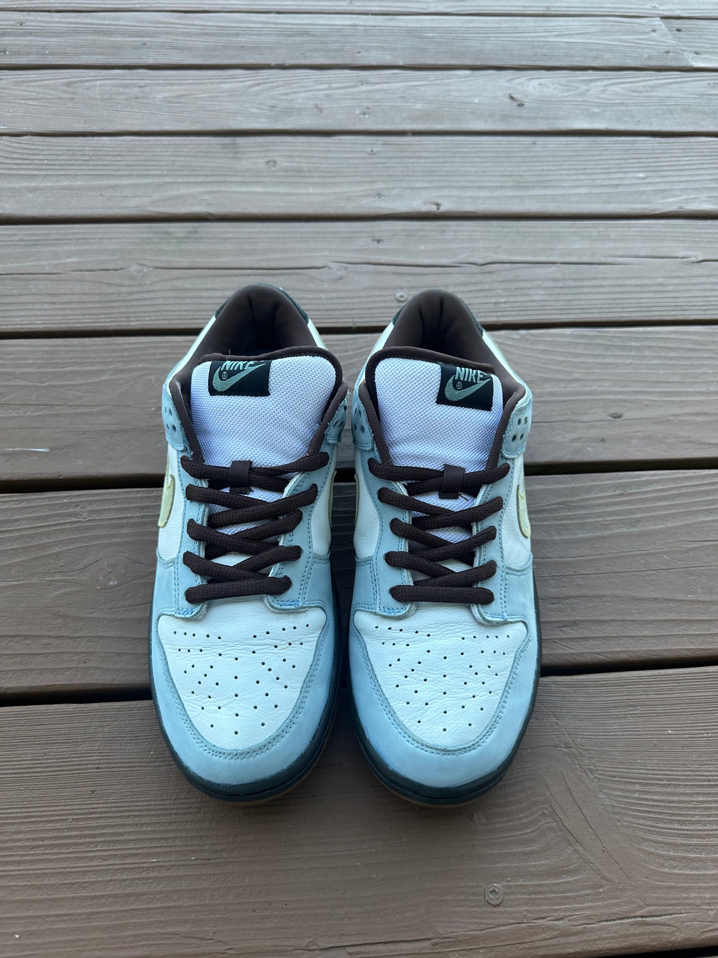 Size 11 - Nike Dunk Low Pro SB Homer