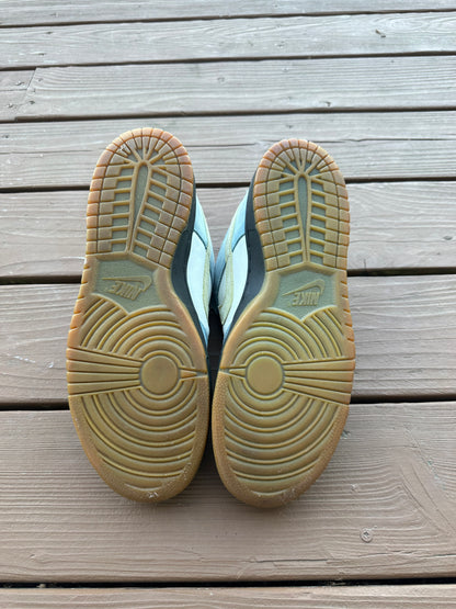 Size 11 - Nike Dunk Low Pro SB Homer