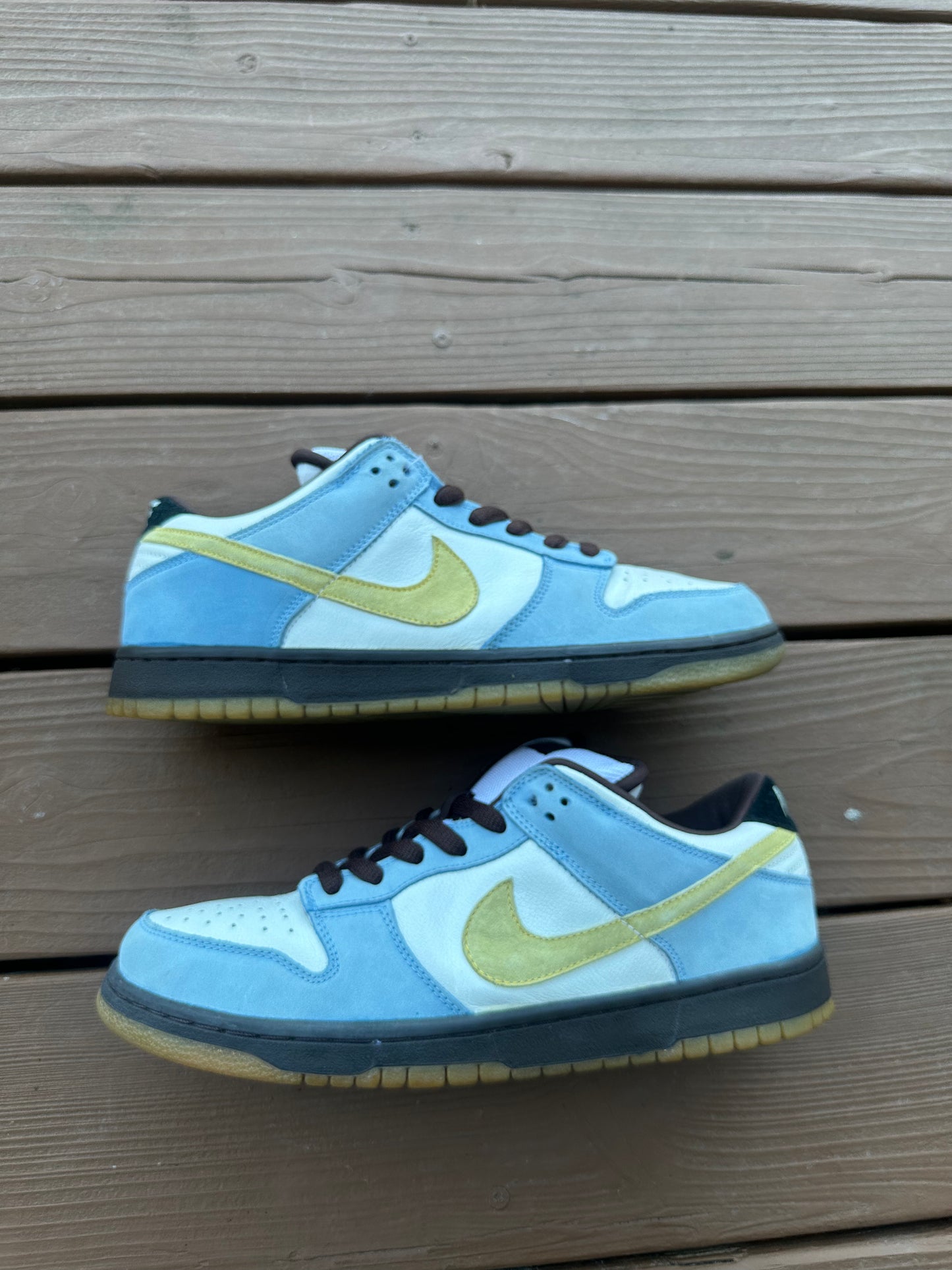 Size 11 - Nike Dunk Low Pro SB Homer