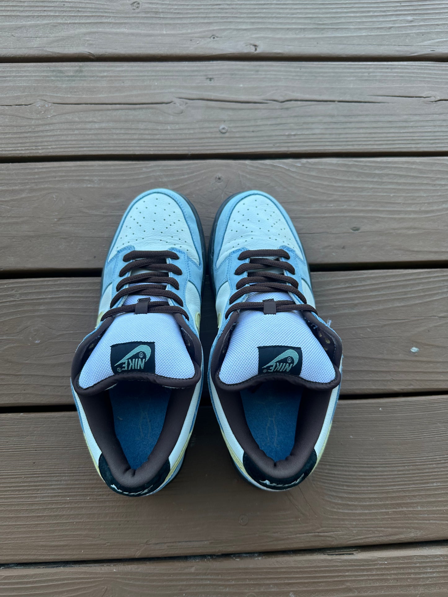 Size 11 - Nike Dunk Low Pro SB Homer