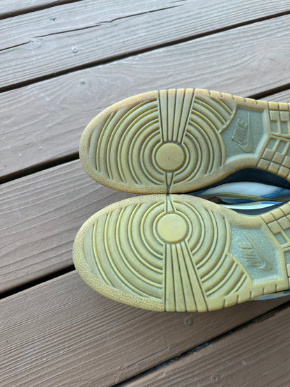 Size 11 - Nike Dunk Low Pro SB Homer