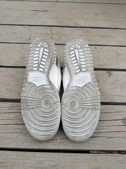 Size 10.5 - Nike Dunk Low Pro B 3M