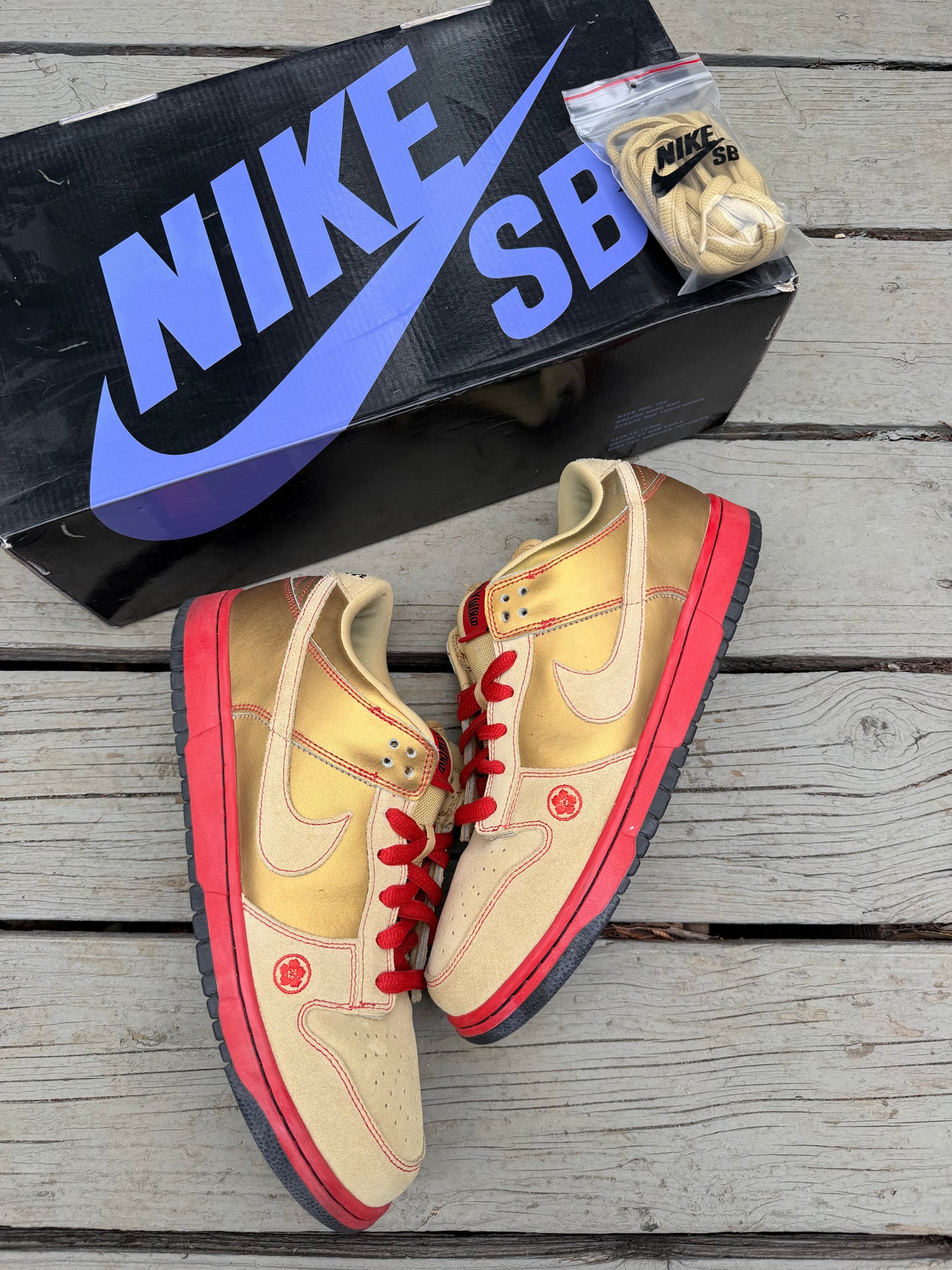 Size 10.5 - Nike Dunk Low Pro SB Moneycat