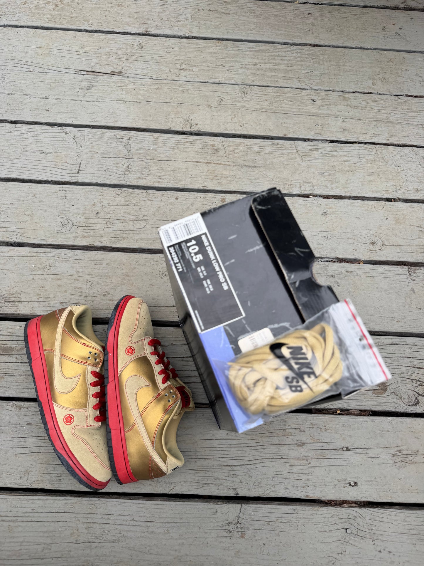 Size 10.5 - Nike Dunk Low Pro SB Moneycat
