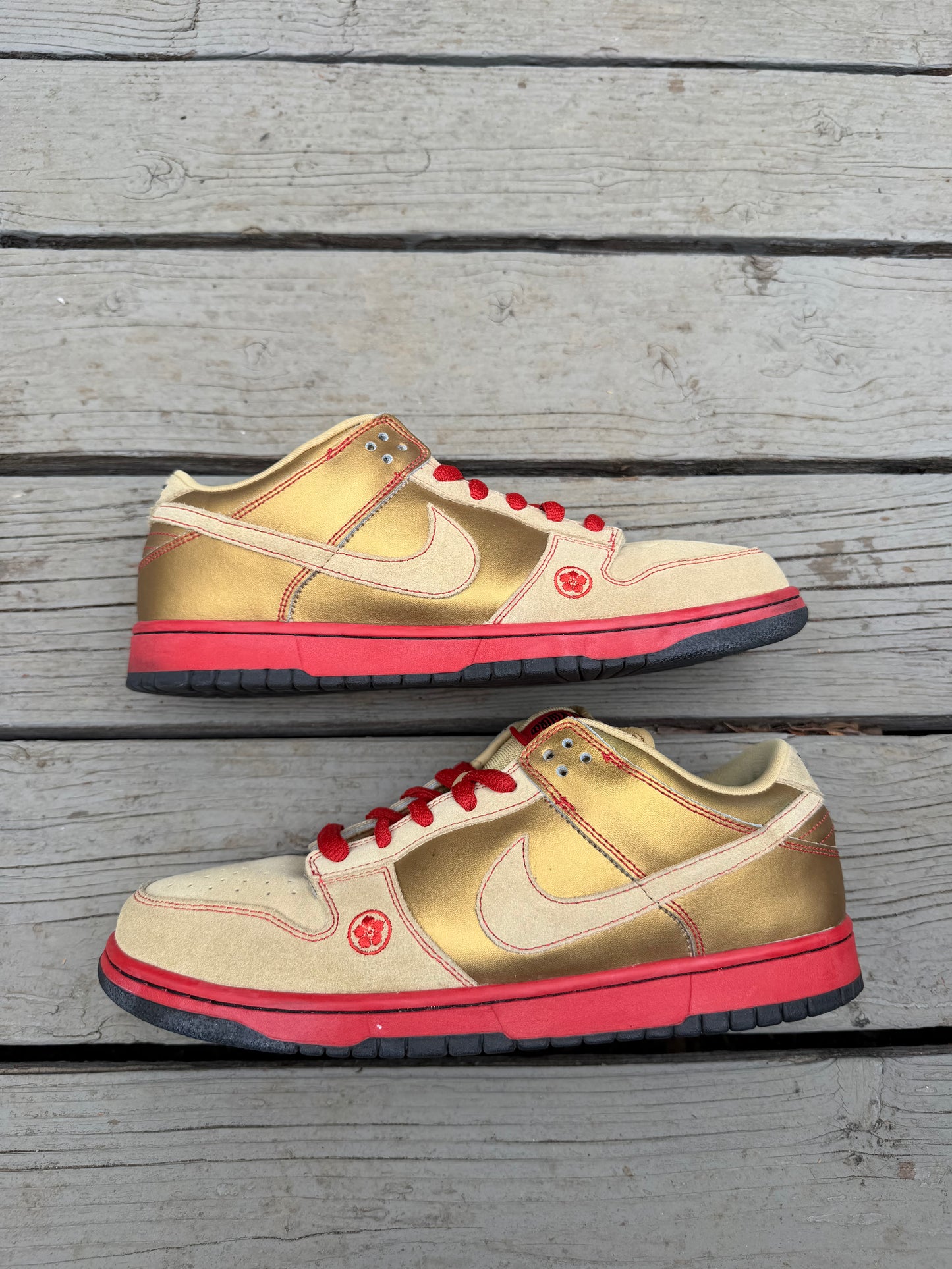 Size 10.5 - Nike Dunk Low Pro SB Moneycat