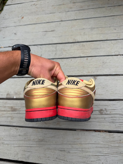 Size 10.5 - Nike Dunk Low Pro SB Moneycat