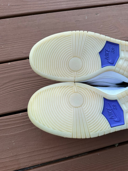 Size 10 - Nike Dunk Low Pro SB Concord